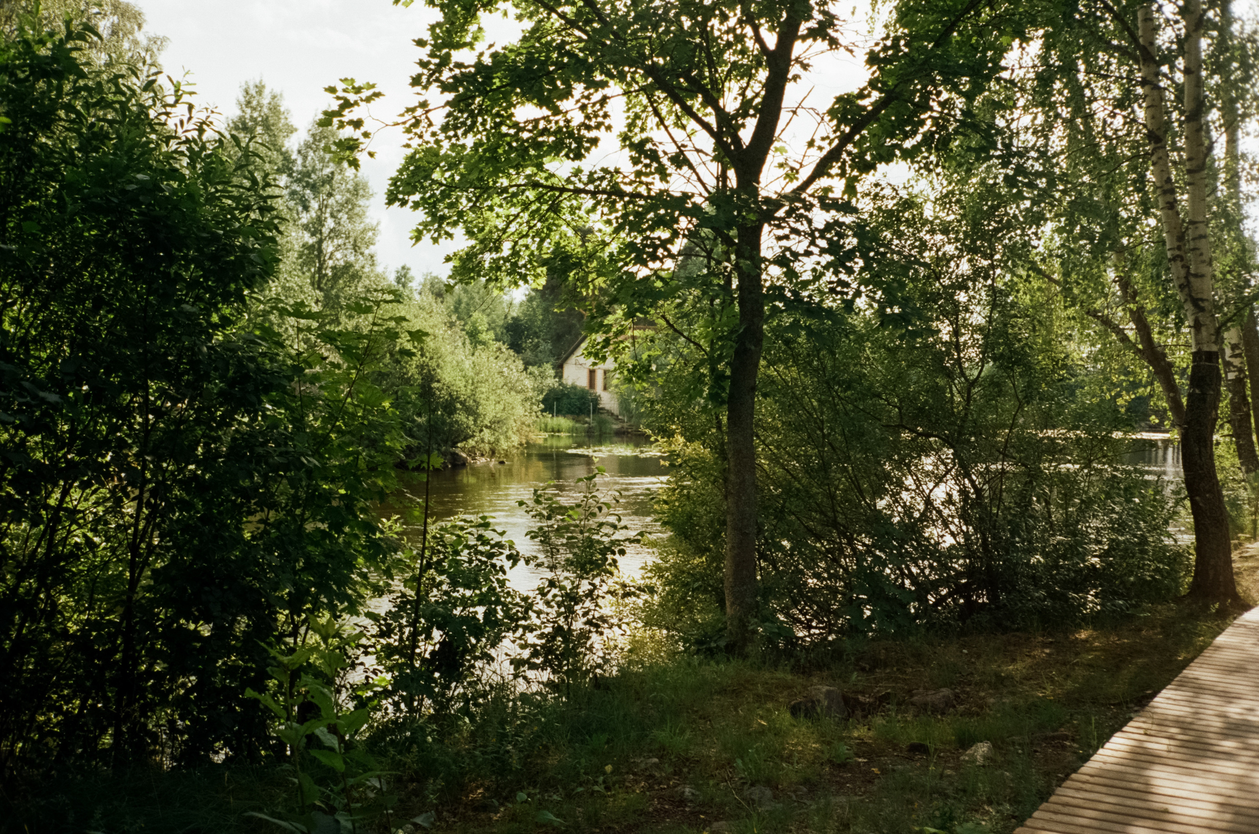 Остров Каменистый на реке Вуокса: экотропа в сосновом лесу, скалы и пл. Фотограф-документалист Мария Осокина