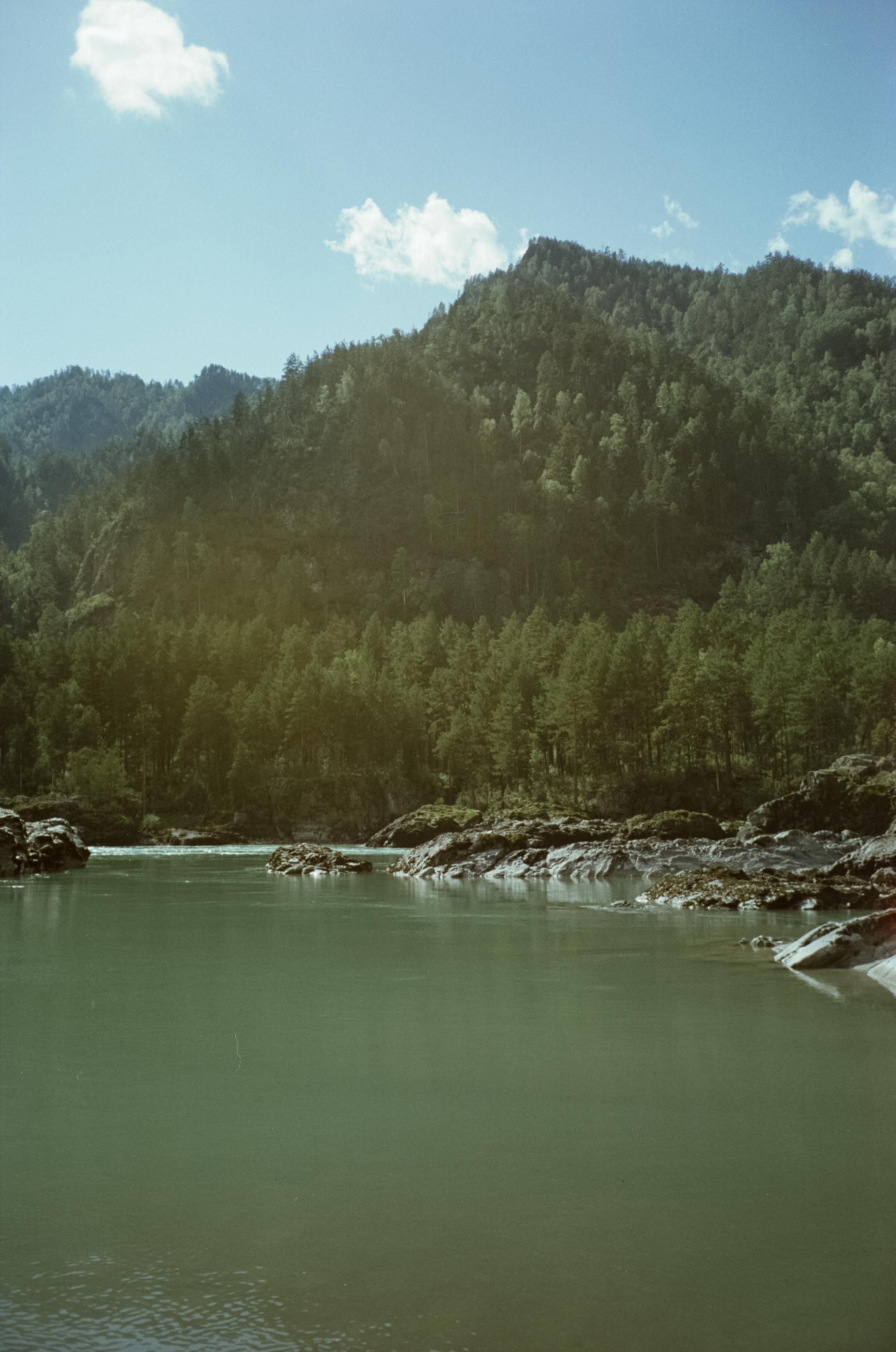 Кедровый остров на Катуни. Фотограф-документалист Мария Осокина