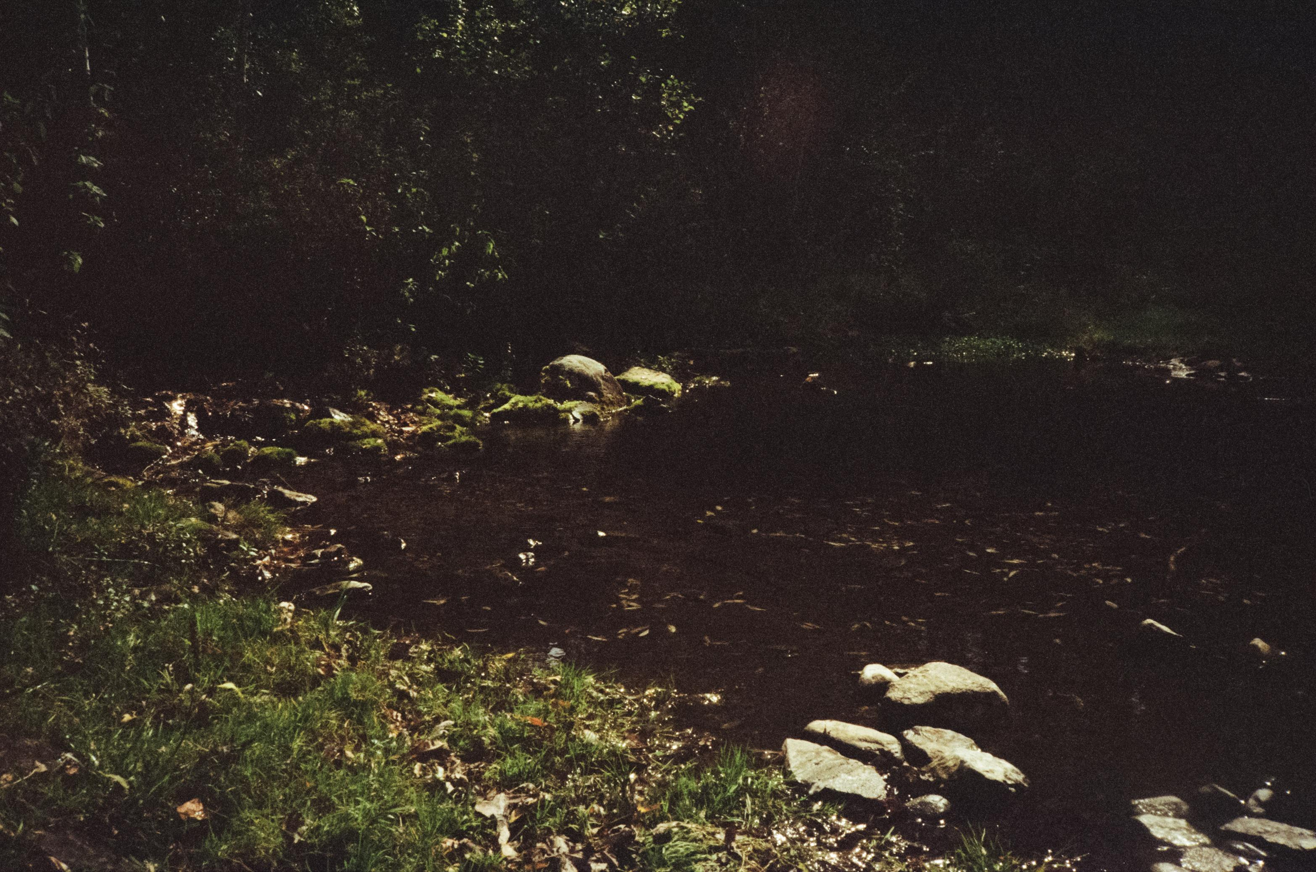 Дорога вдоль горной реки Куюм и база Благодать. Фотограф-документалист Мария Осокина