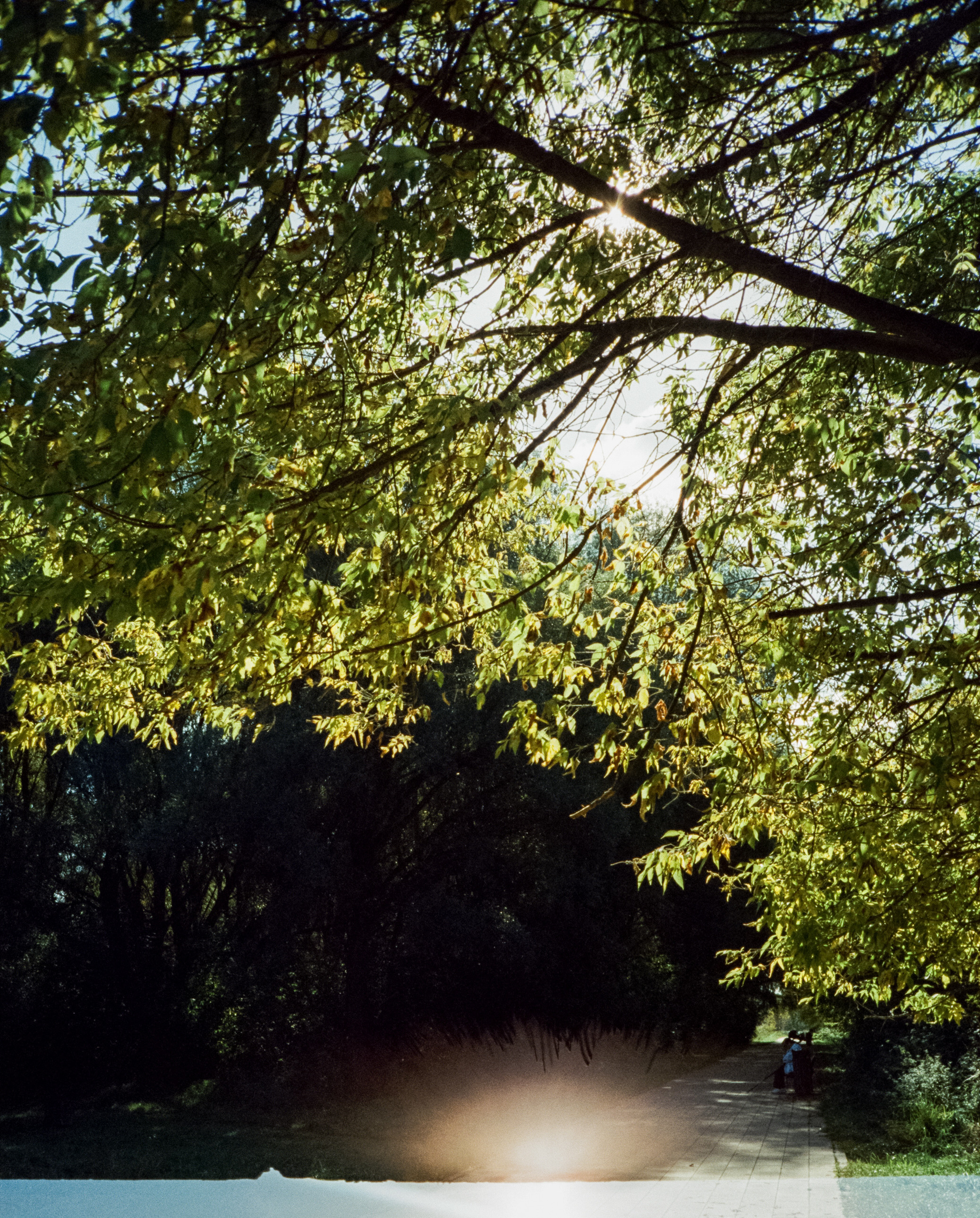 Строгинский залив. Золотая осень. Фотограф-документалист Мария Осокина