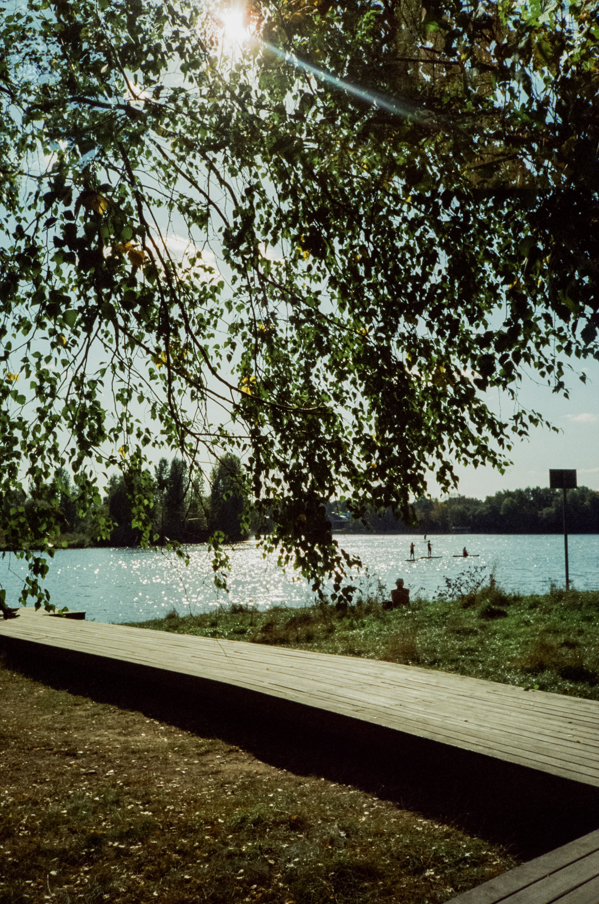 Строгинский залив. Золотая осень. Фотограф-документалист Мария Осокина