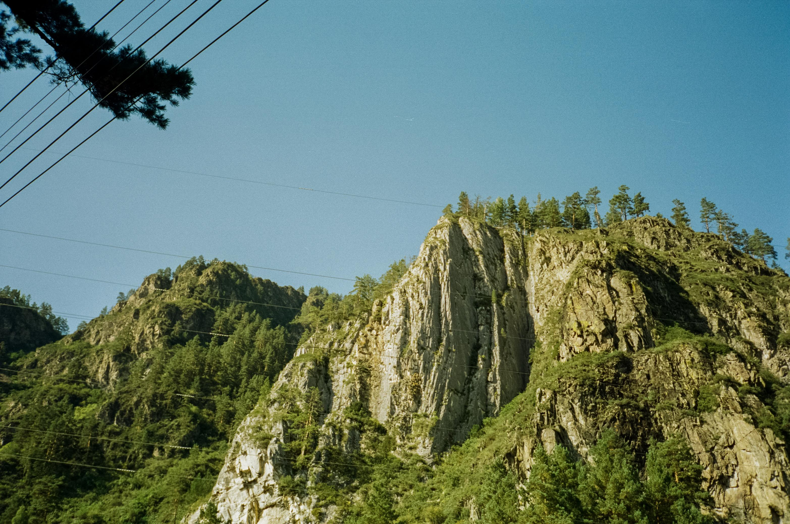 База Altai Star: сосновый лес, теремки и берег Катуни. Фотограф-документалист Мария Осокина