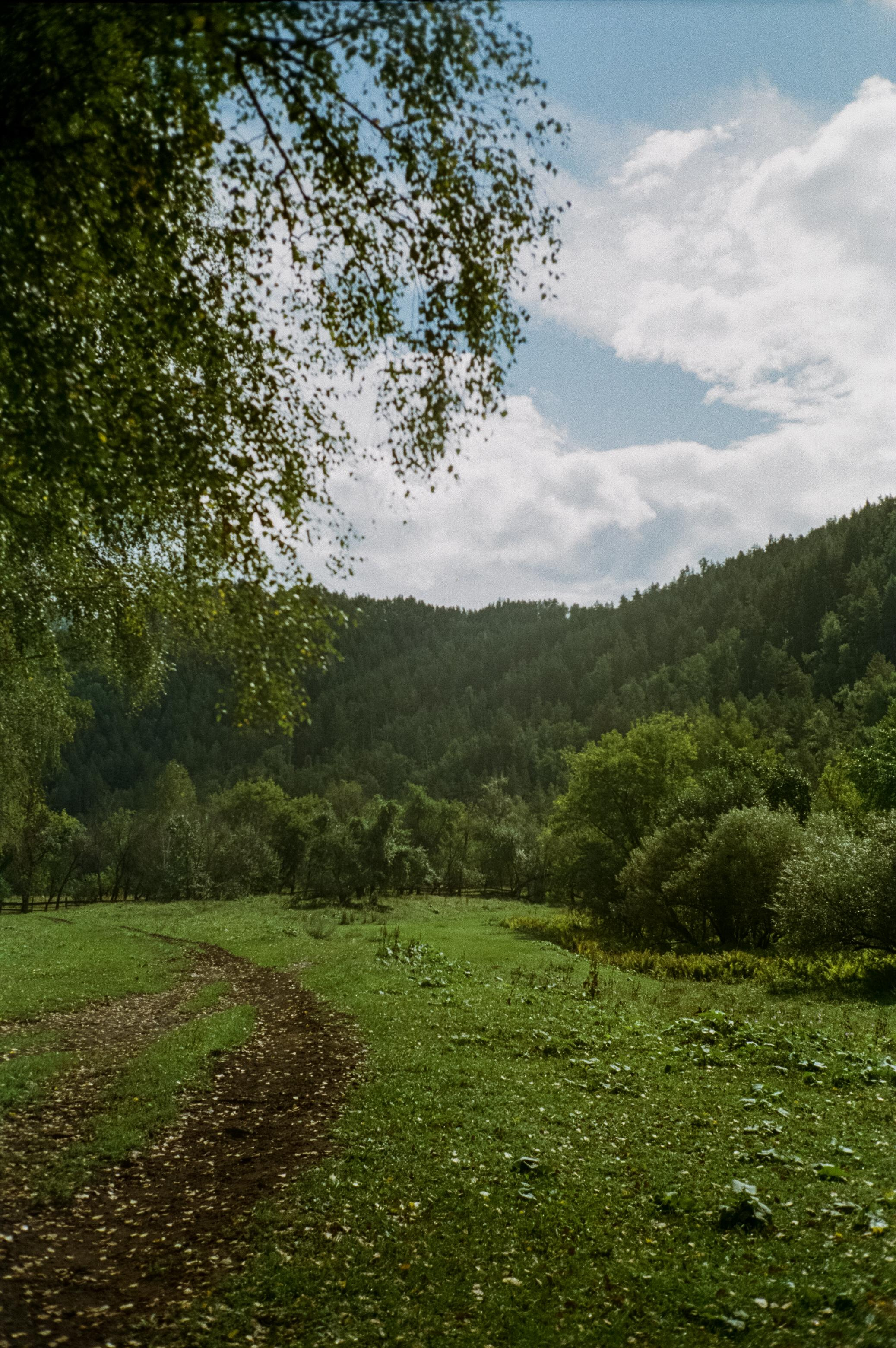 Дорога к селу Элекмонар и часовне на реке Куюм. Фотограф-документалист Мария Осокина