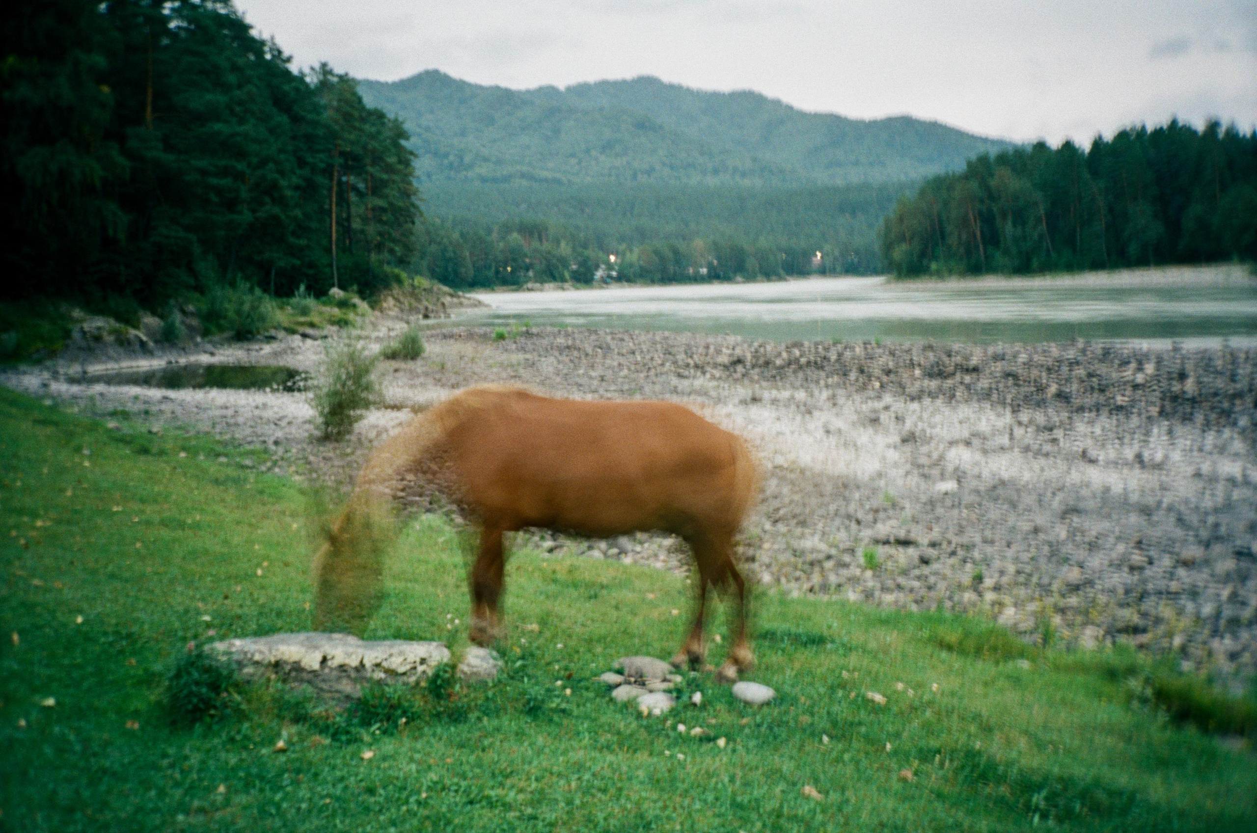 Гора Синюха в тумане и Катунь в жаркий день. У коттеджа Бережок. Фотограф-документалист Мария Осокина