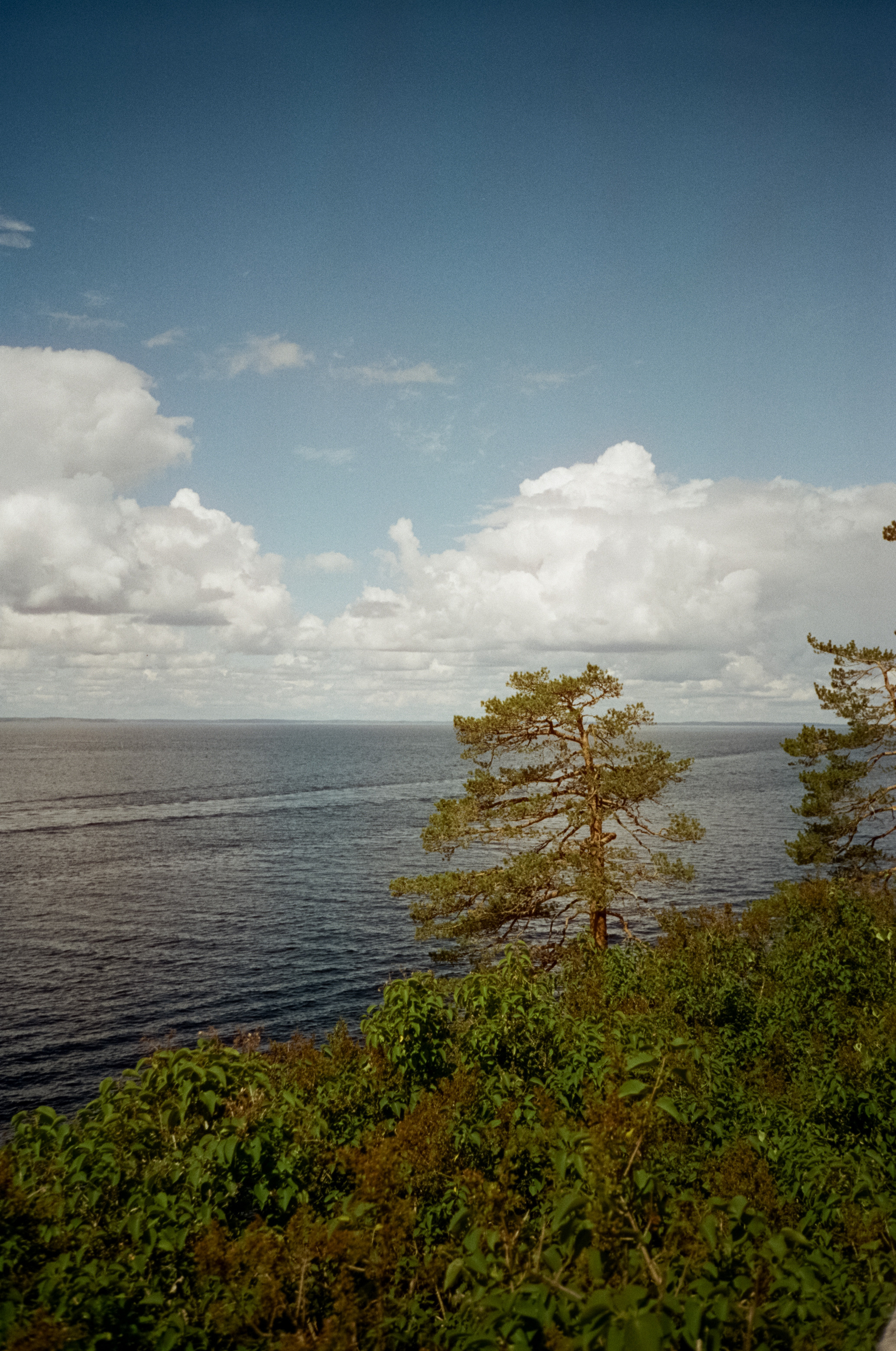 Остров Валаам. Никольский Скит и Монастырский залив. Фотограф-документалист Мария Осокина