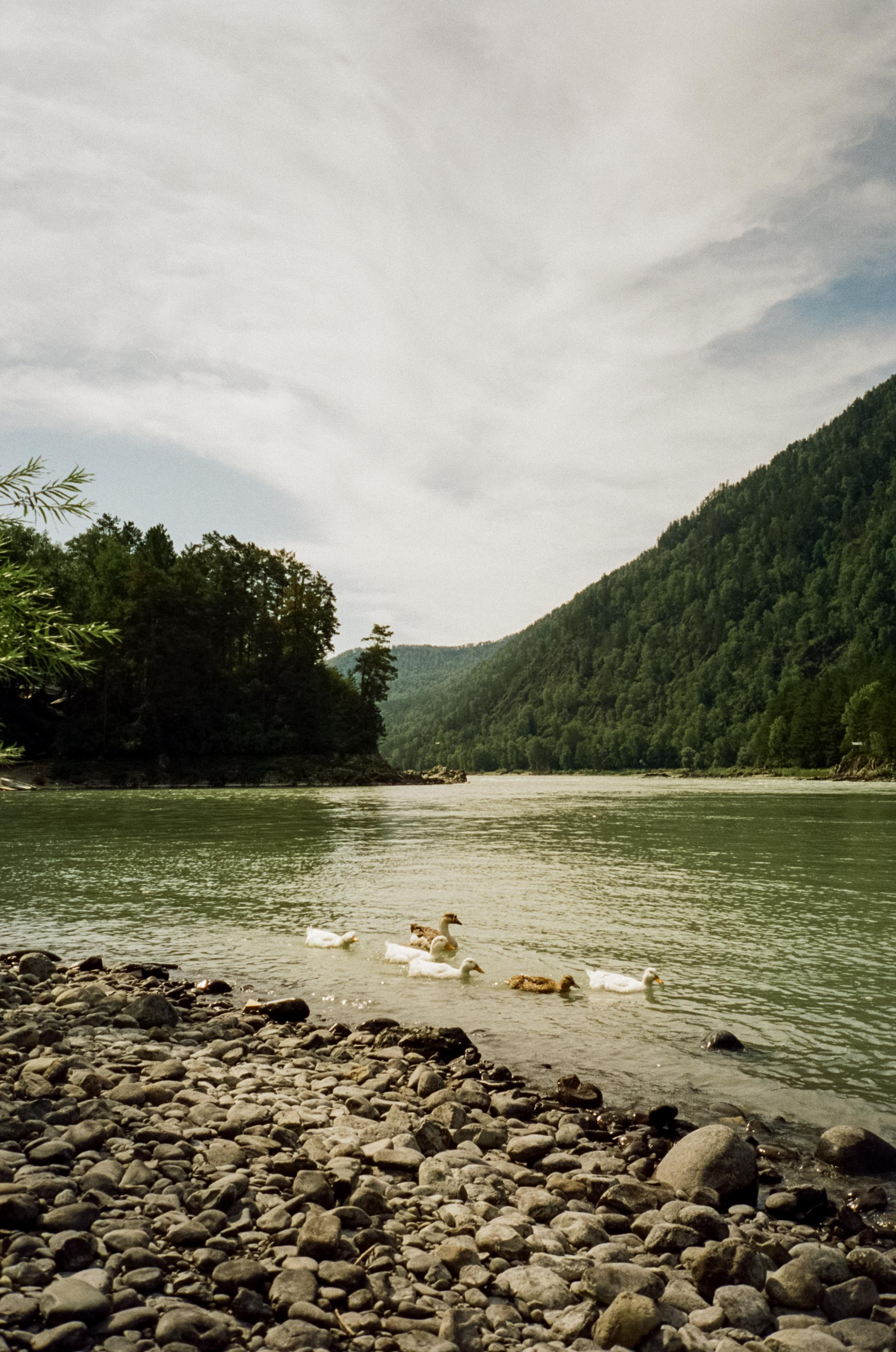 Кызыл-Таш на Катуни. Центр Чуйского тракта, 488 км. Фотограф-документалист Мария Осокина
