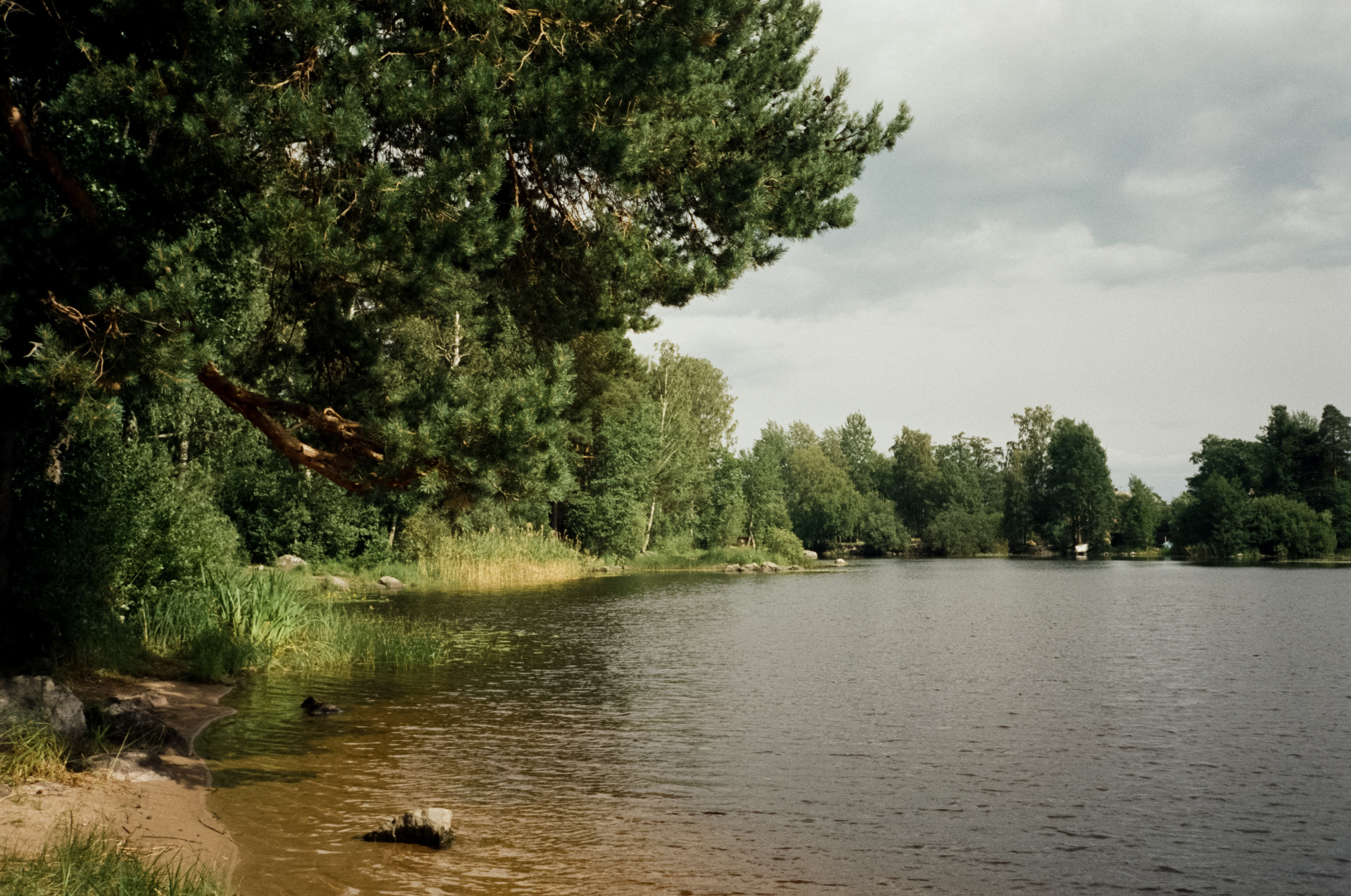 Остров Каменистый на реке Вуокса: экотропа в сосновом лесу, скалы и пл. Фотограф-документалист Мария Осокина