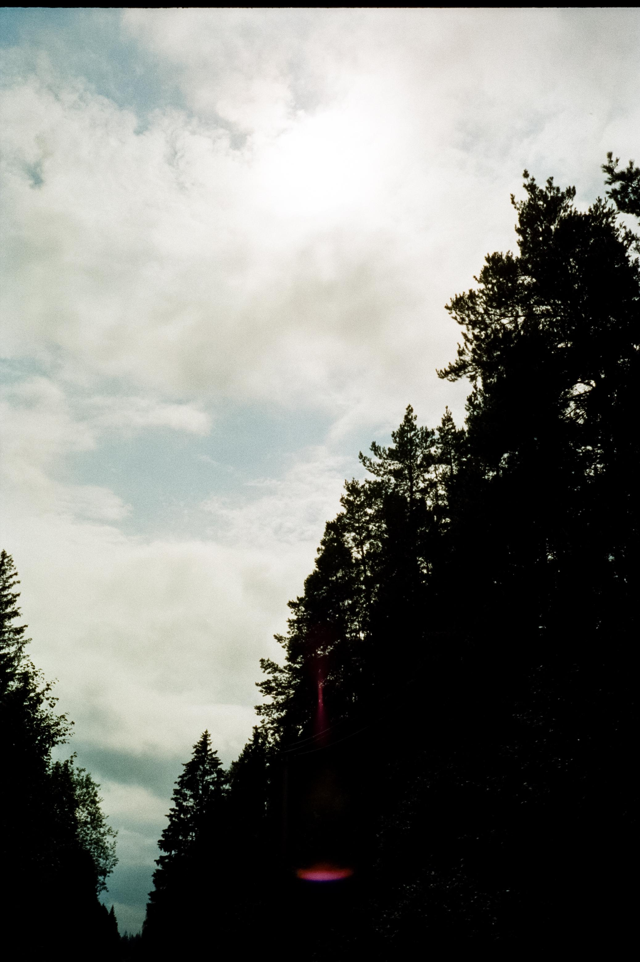 Дача. Лето. Август. Фотограф-документалист Мария Осокина