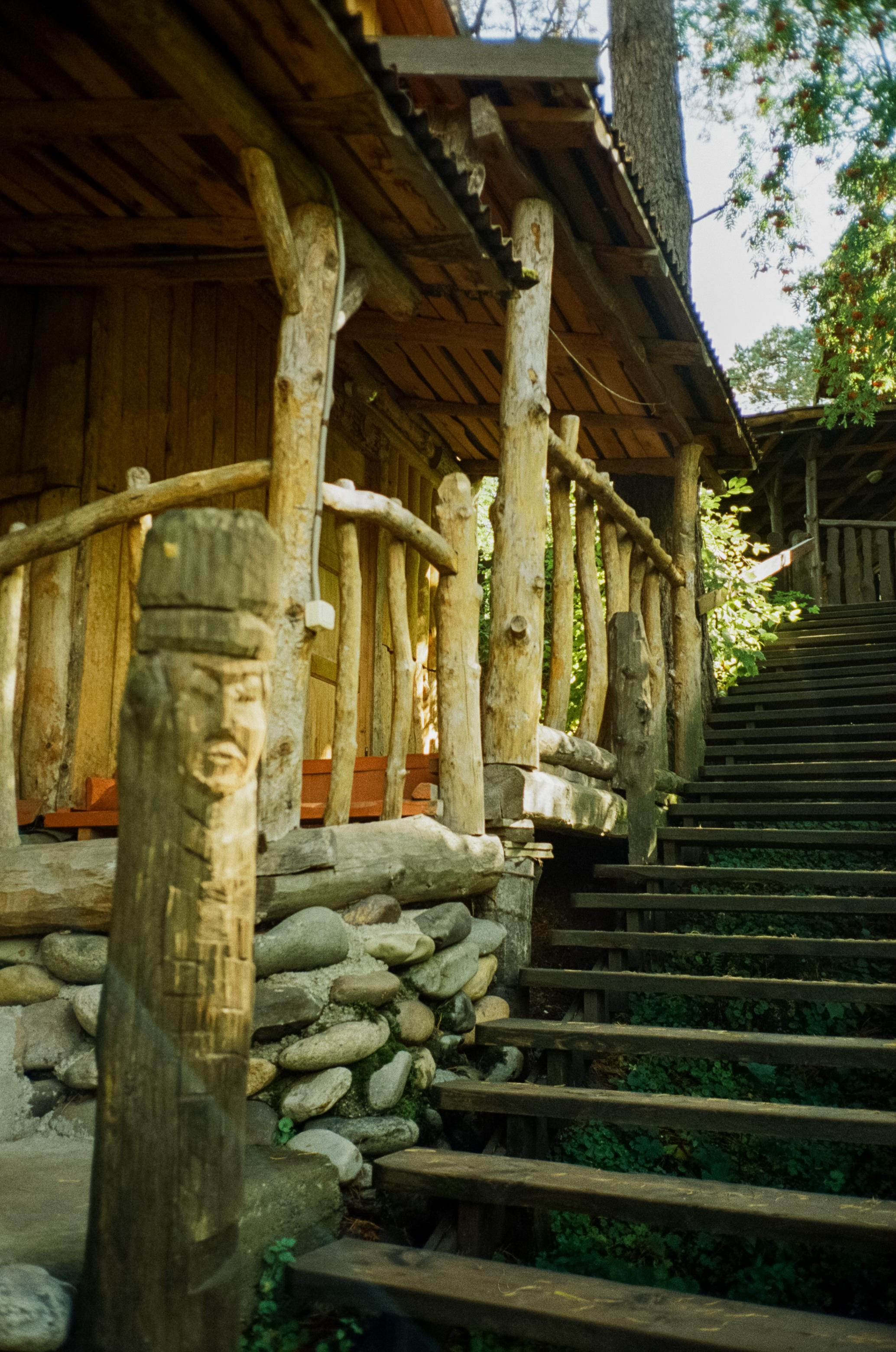 База Altai Star: сосновый лес, теремки и берег Катуни. Фотограф-документалист Мария Осокина