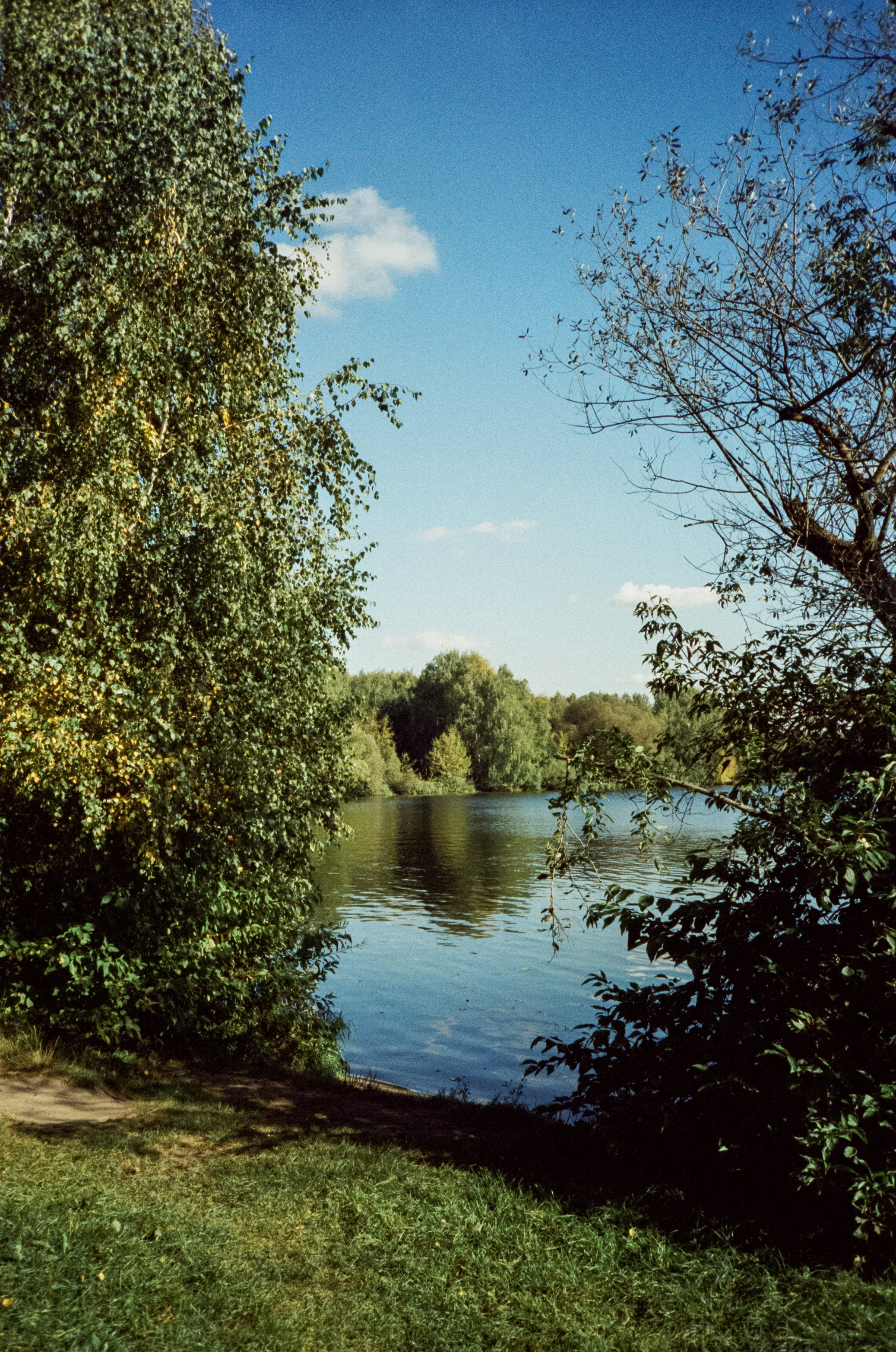 Строгинский залив. Золотая осень. Фотограф-документалист Мария Осокина
