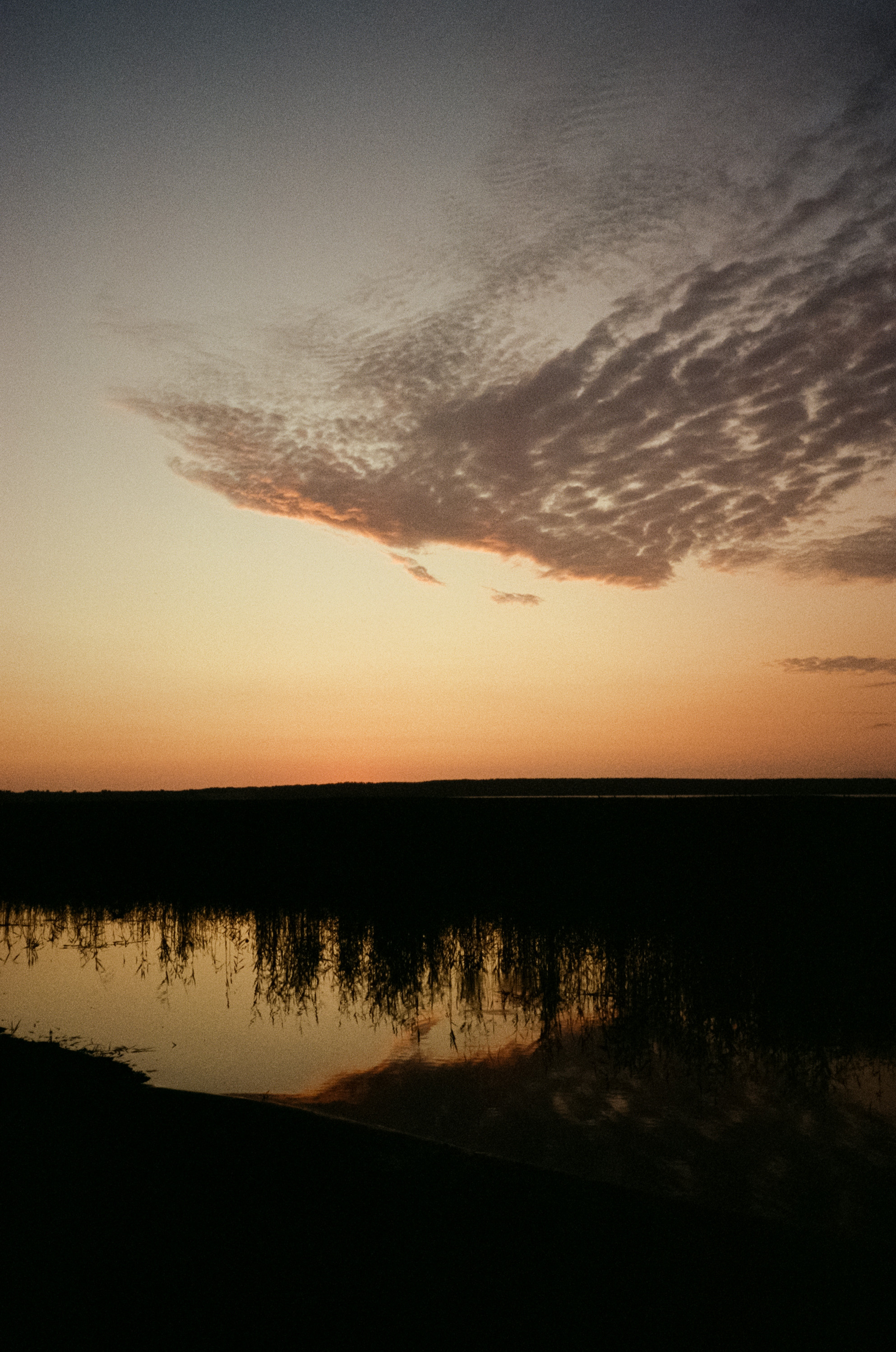 Рассветы и закаты на озере Отрадное. Фотограф-документалист Мария Осокина