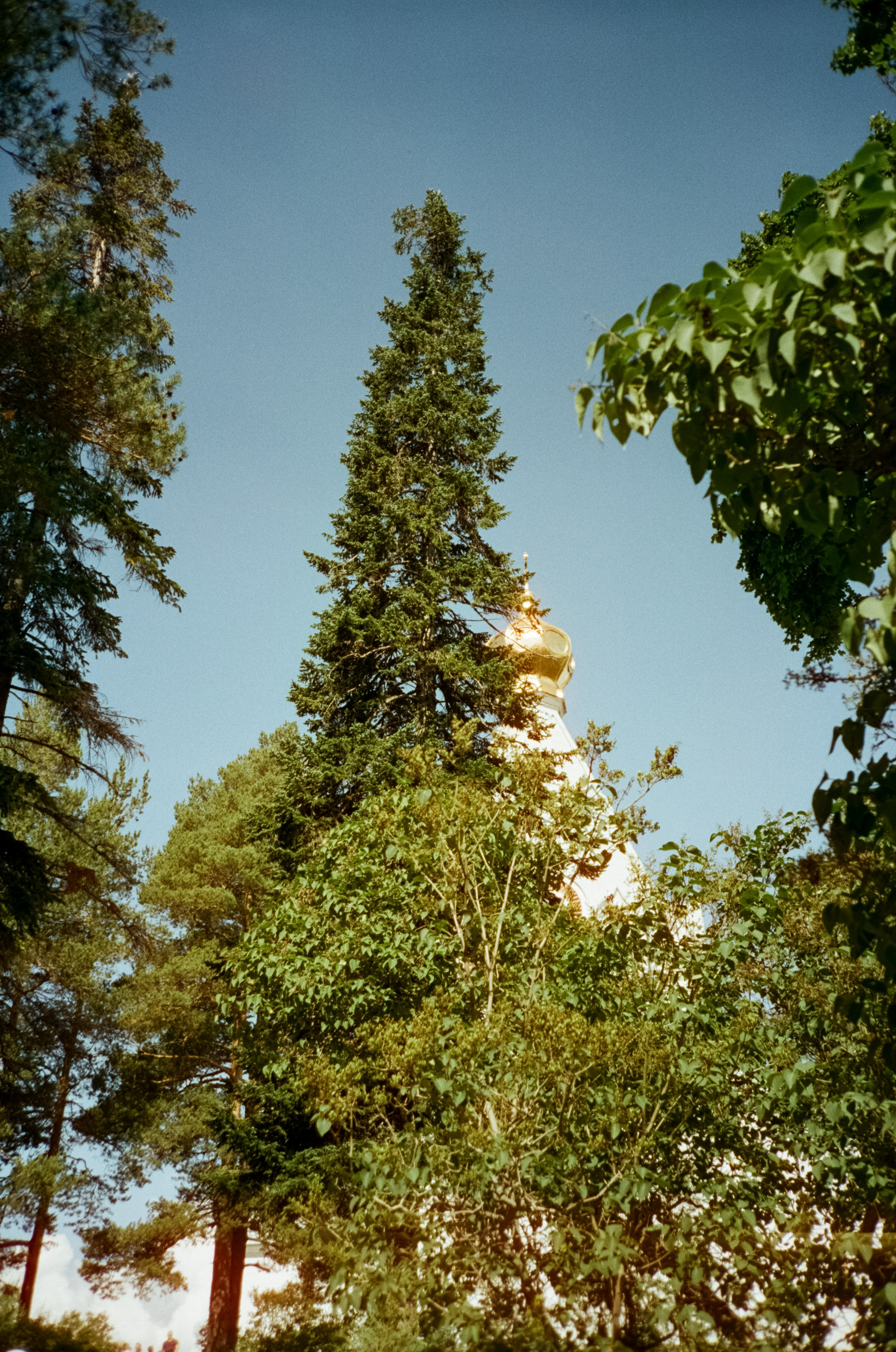 Остров Валаам. Никольский Скит и Монастырский залив. Фотограф-документалист Мария Осокина