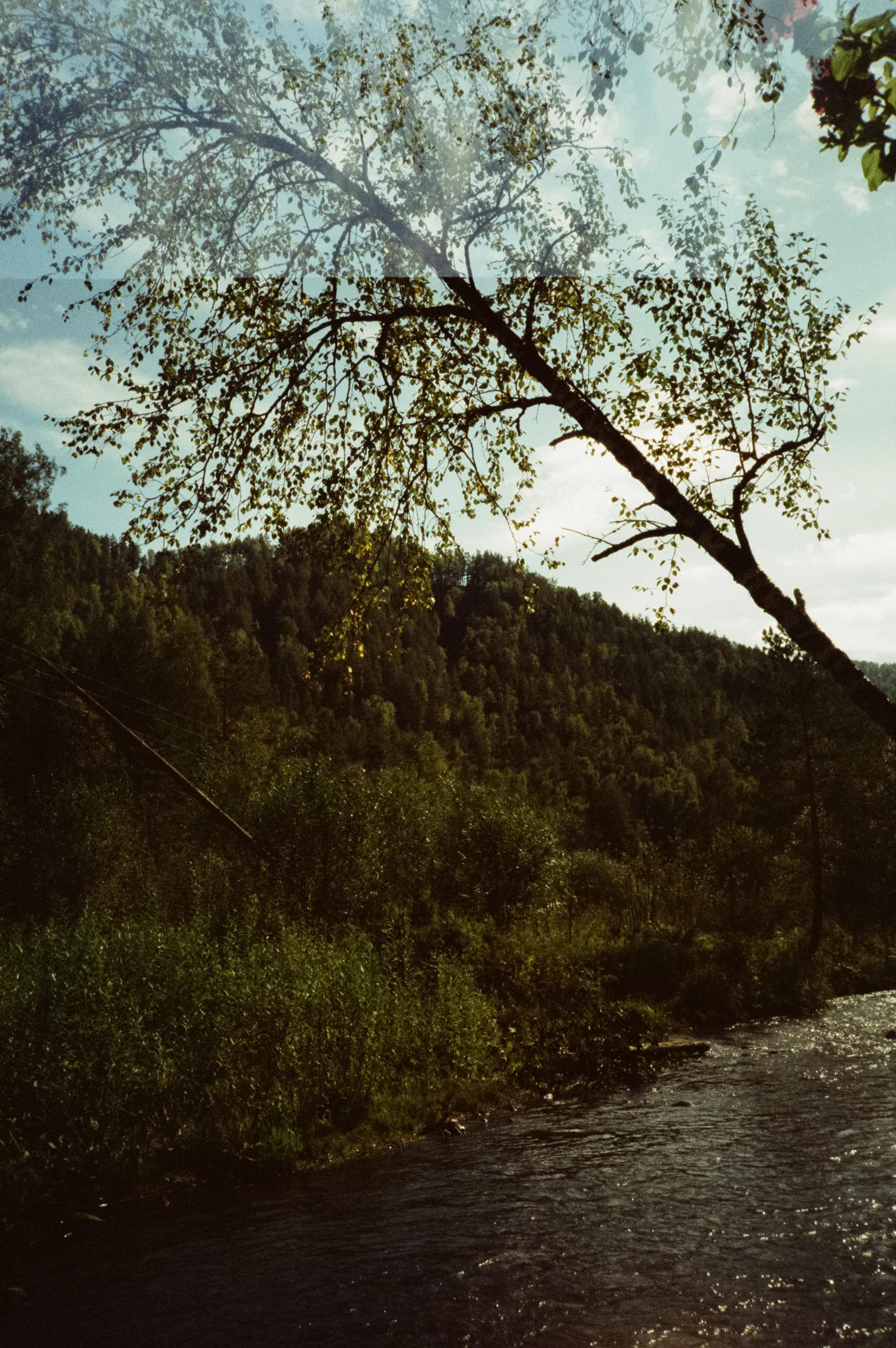 Дорога вдоль горной реки Куюм и база Благодать. Фотограф-документалист Мария Осокина