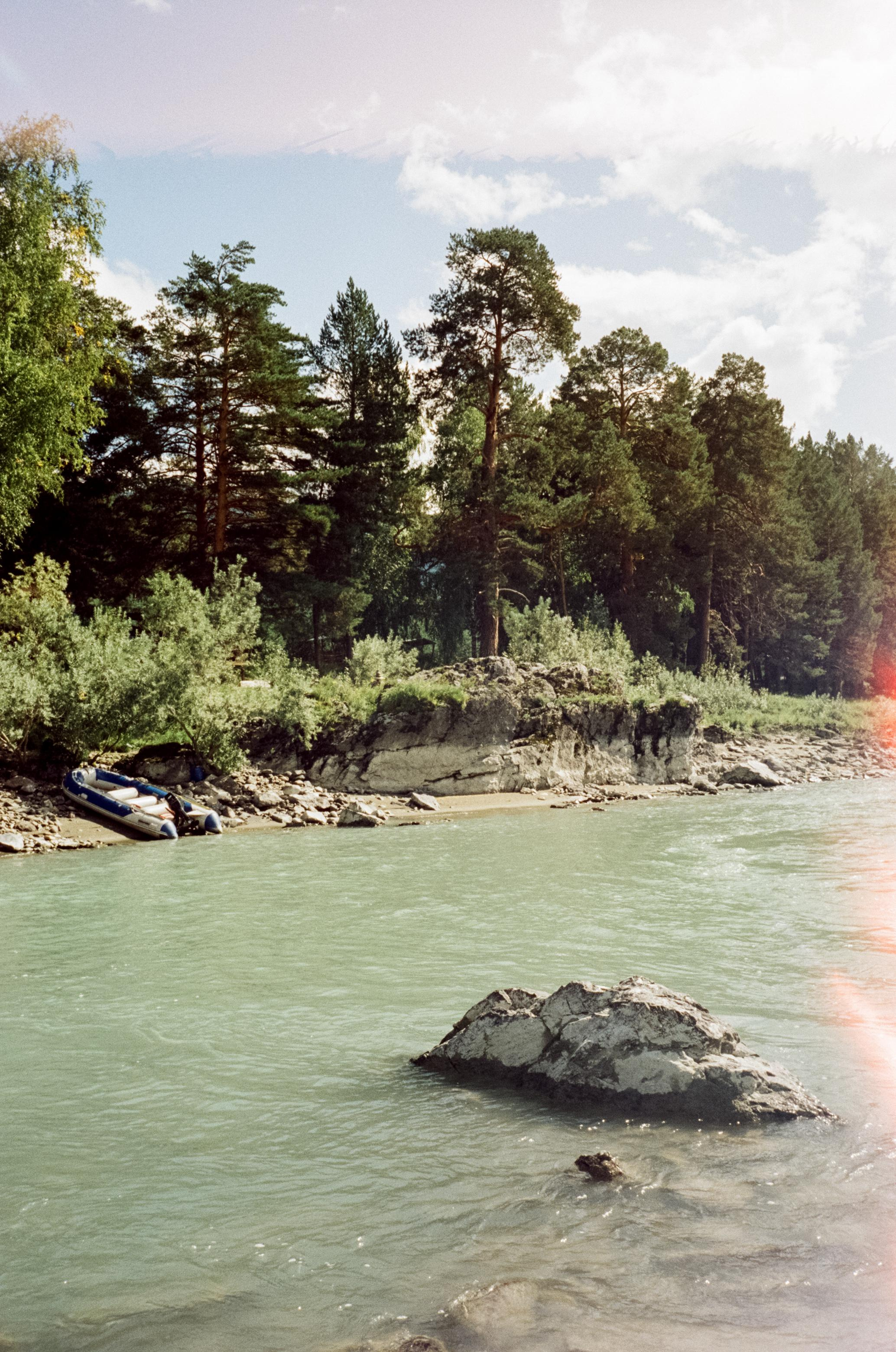Катунь, острова и сосны в солнечный день. Фотограф-документалист Мария Осокина