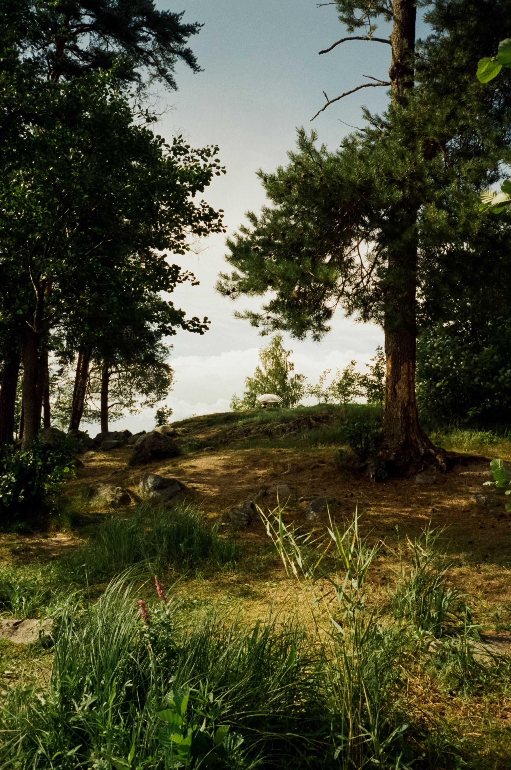 Остров Каменистый на реке Вуокса: экотропа в сосновом лесу, скалы и пл. Фотограф-документалист Мария Осокина