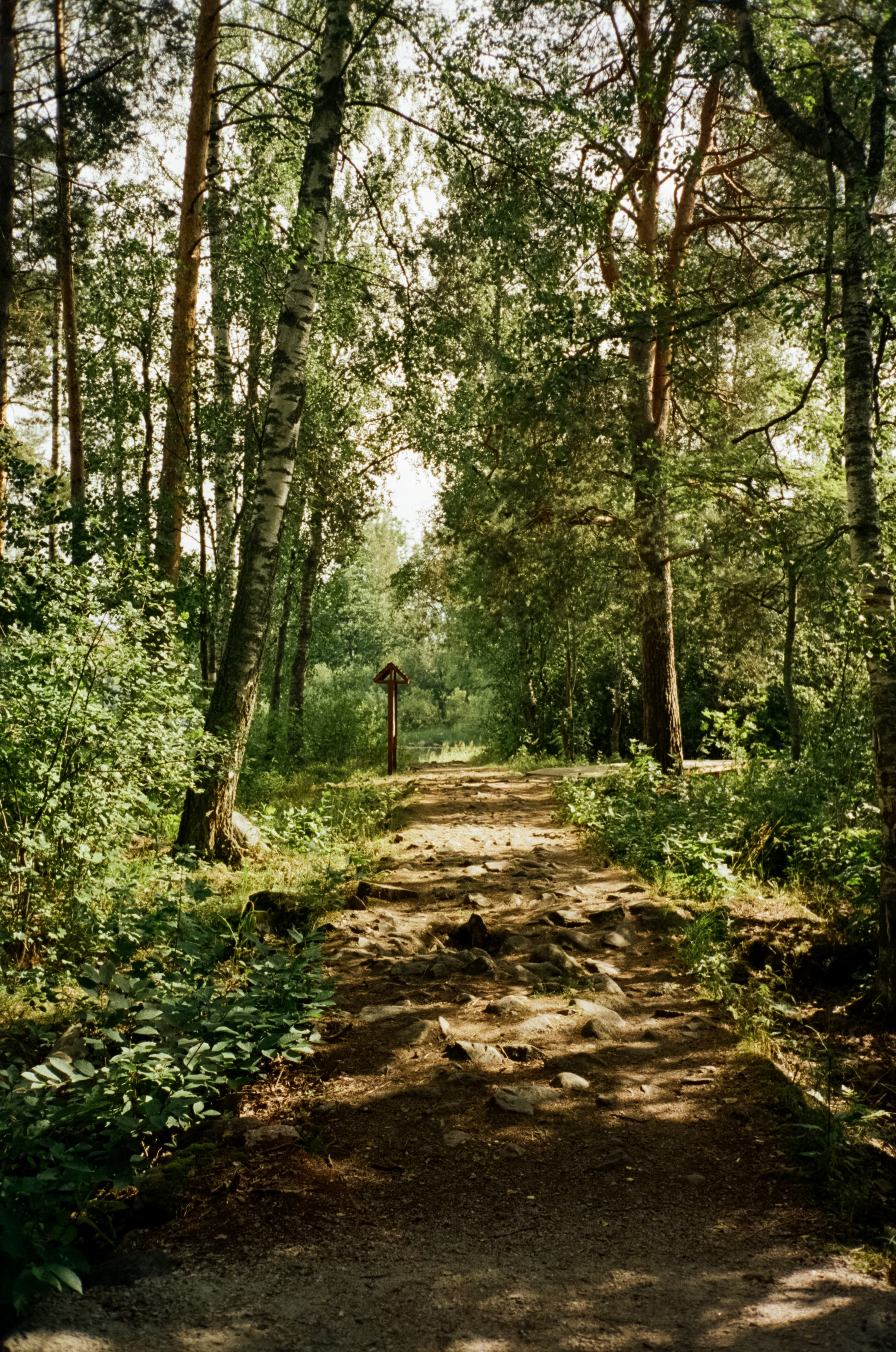 Остров Каменистый на реке Вуокса: экотропа в сосновом лесу, скалы и пл. Фотограф-документалист Мария Осокина