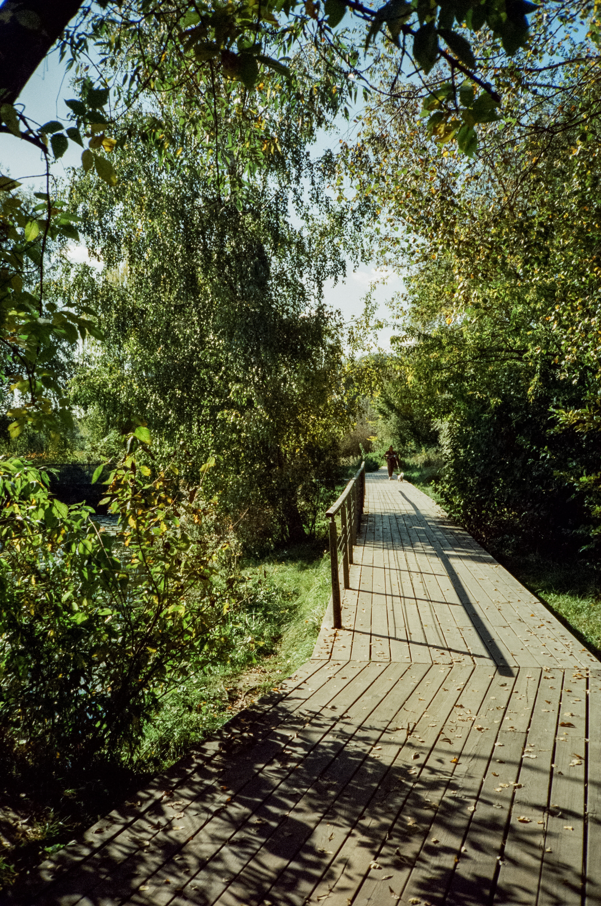 Строгинский залив. Золотая осень. Фотограф-документалист Мария Осокина