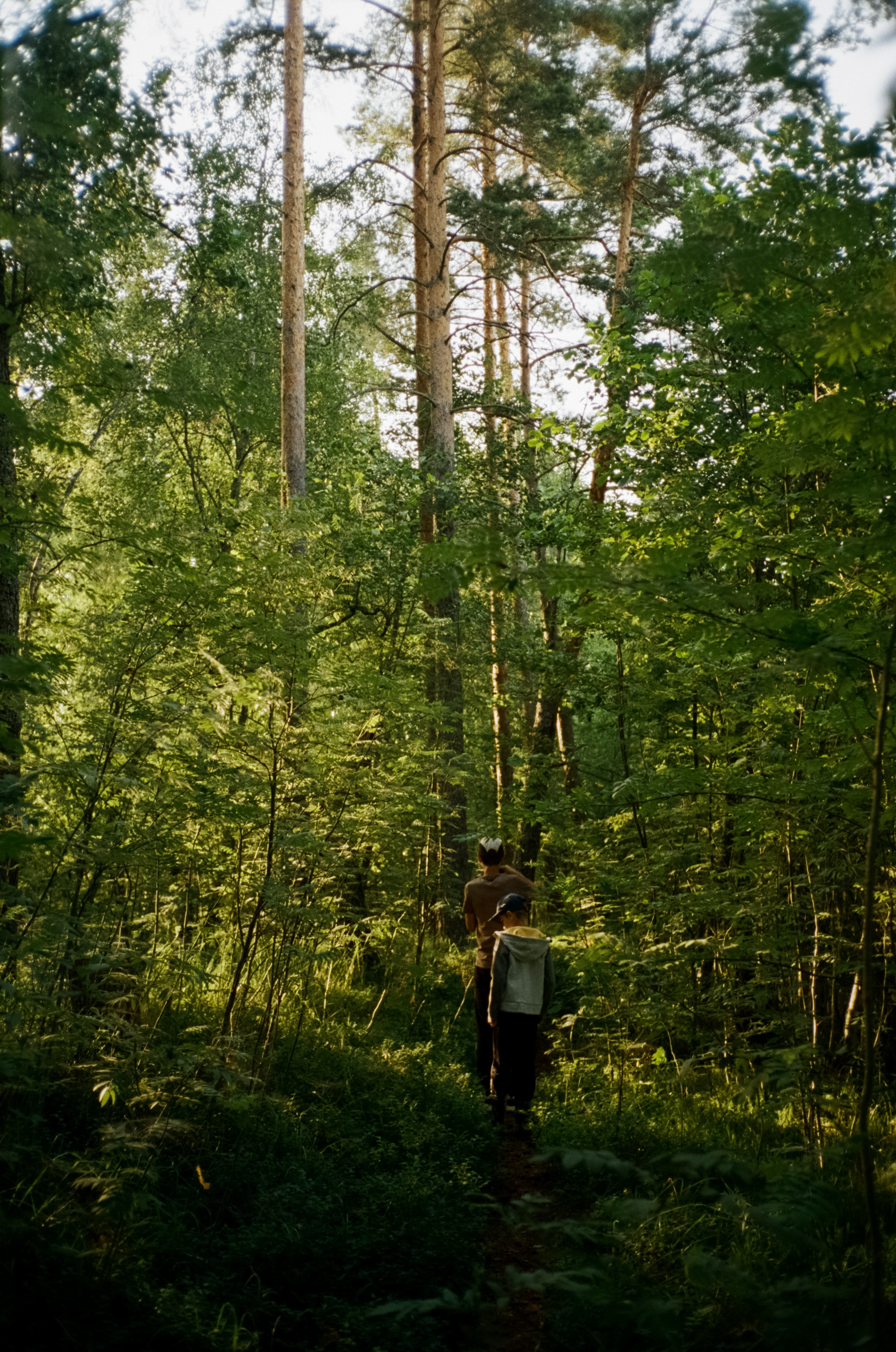 Вечер на озере Отрадное. Фотограф-документалист Мария Осокина