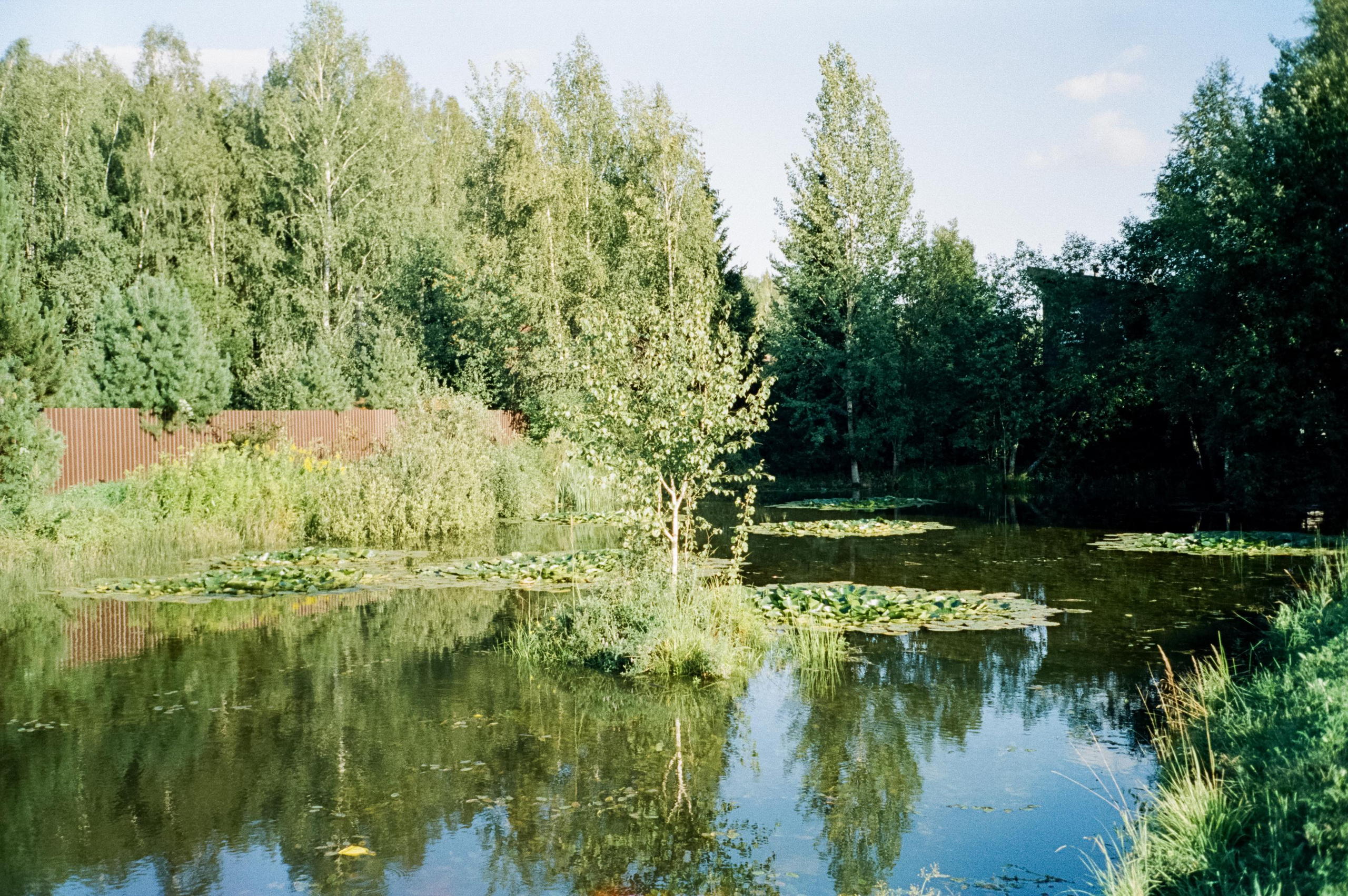 Дача. Лето. Август. Фотограф-документалист Мария Осокина