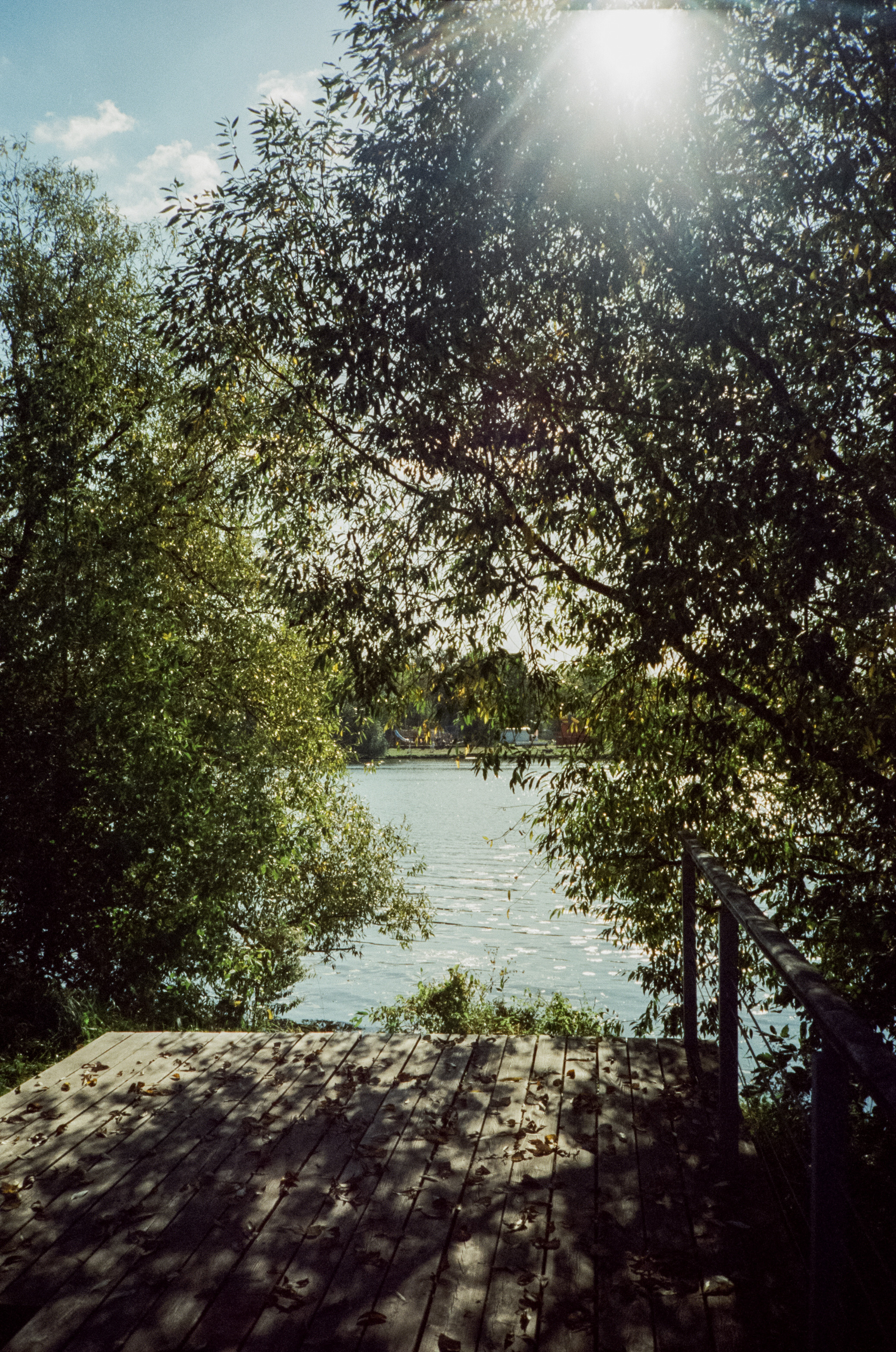 Строгинский залив. Золотая осень. Фотограф-документалист Мария Осокина