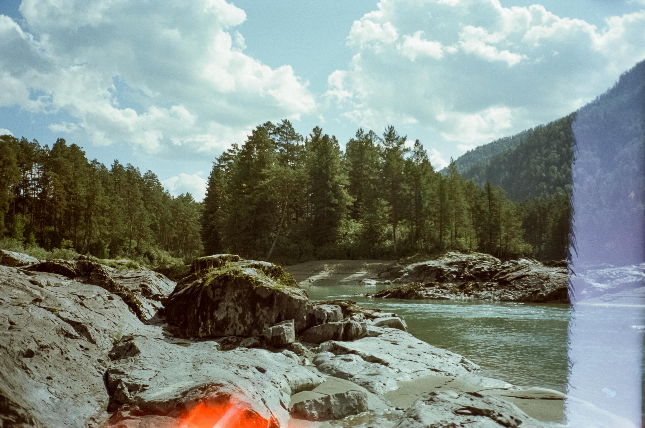 Кедровый остров на Катуни. Фотограф-документалист Мария Осокина