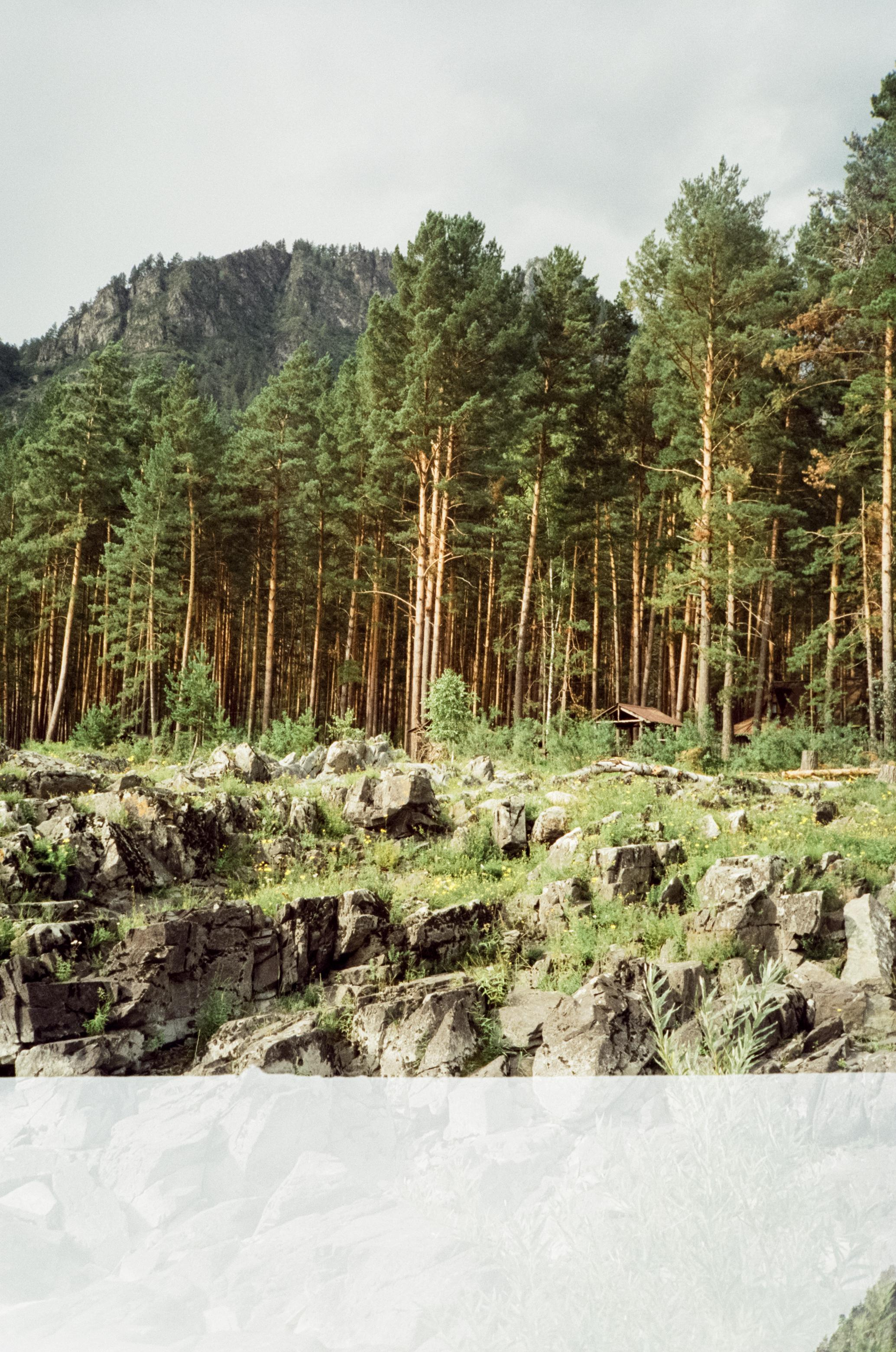 Coffee bus на Чемальском тракте и база Голубые озера. Фотограф-документалист Мария Осокина