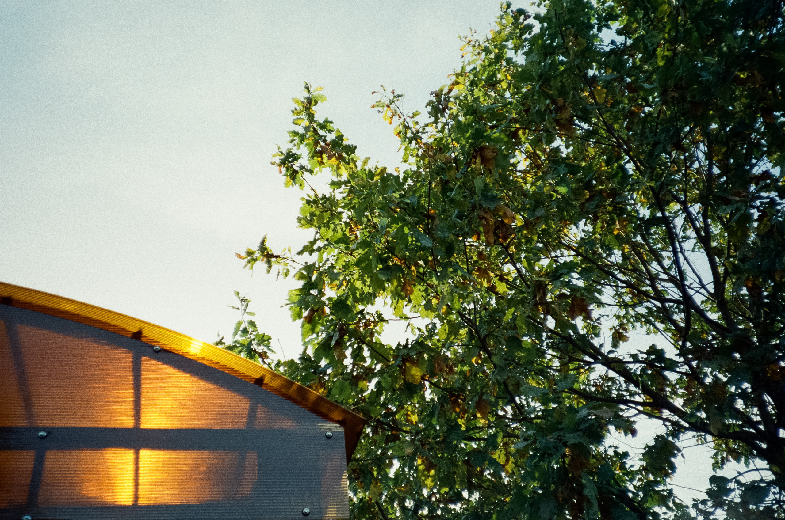 Наша дача и прогулка по садоводству. Золотая осень. Фотограф-документалист Мария Осокина