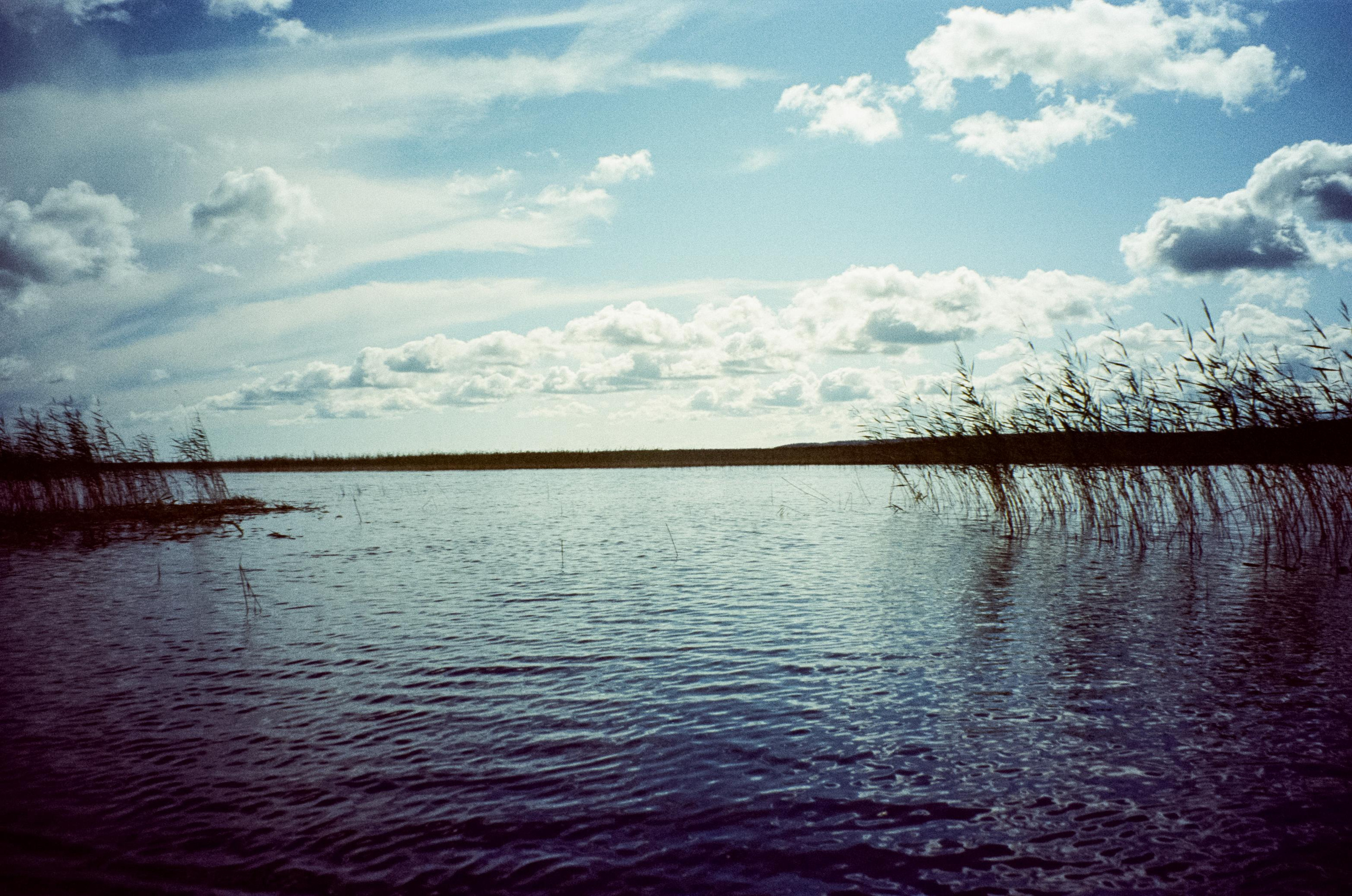 SUPboard на озере Отрадное. Фотограф-документалист Мария Осокина