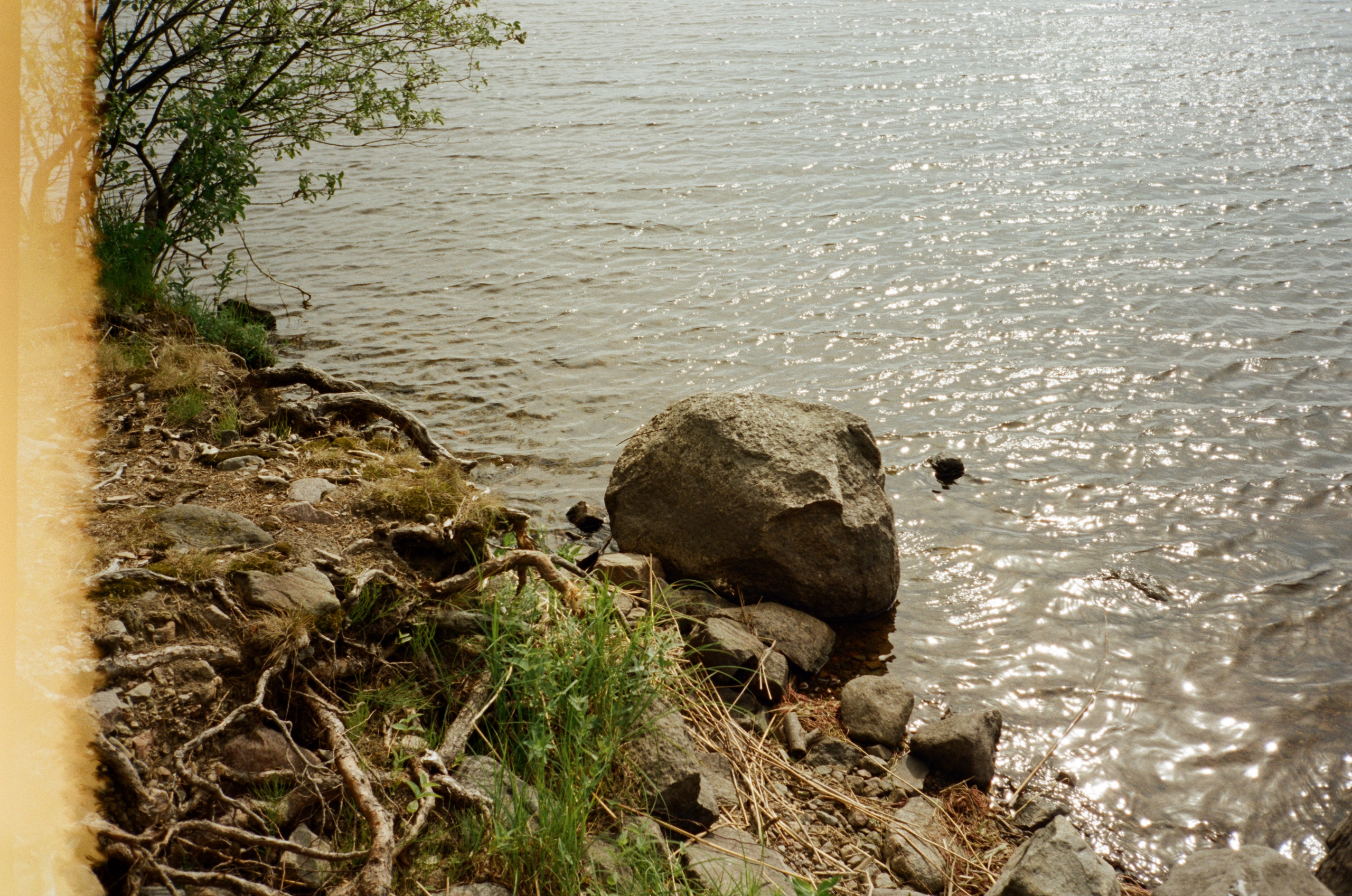Остров Каменистый на реке Вуокса: экотропа в сосновом лесу, скалы и пл. Фотограф-документалист Мария Осокина