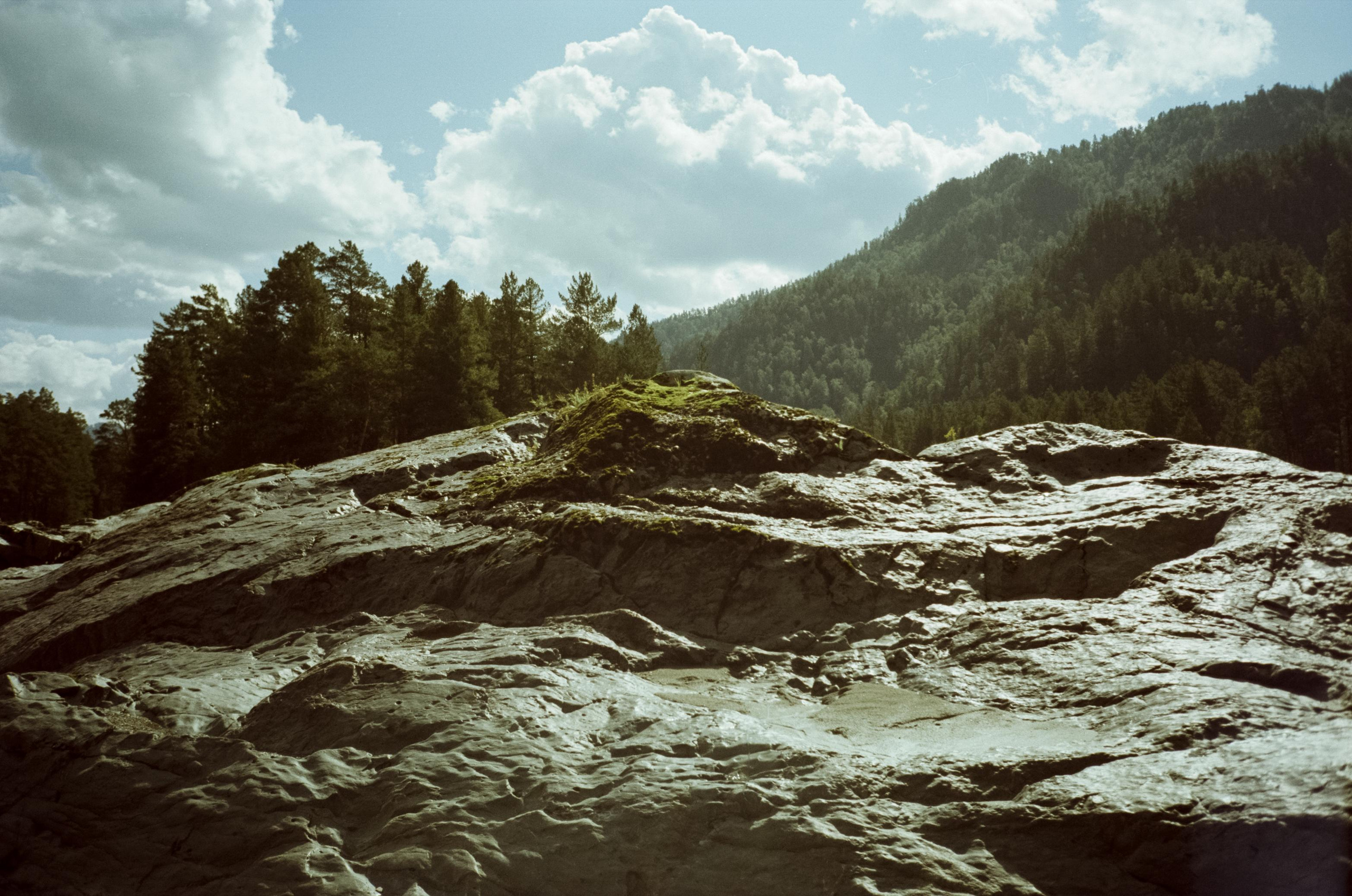 Кедровый остров на Катуни. Фотограф-документалист Мария Осокина