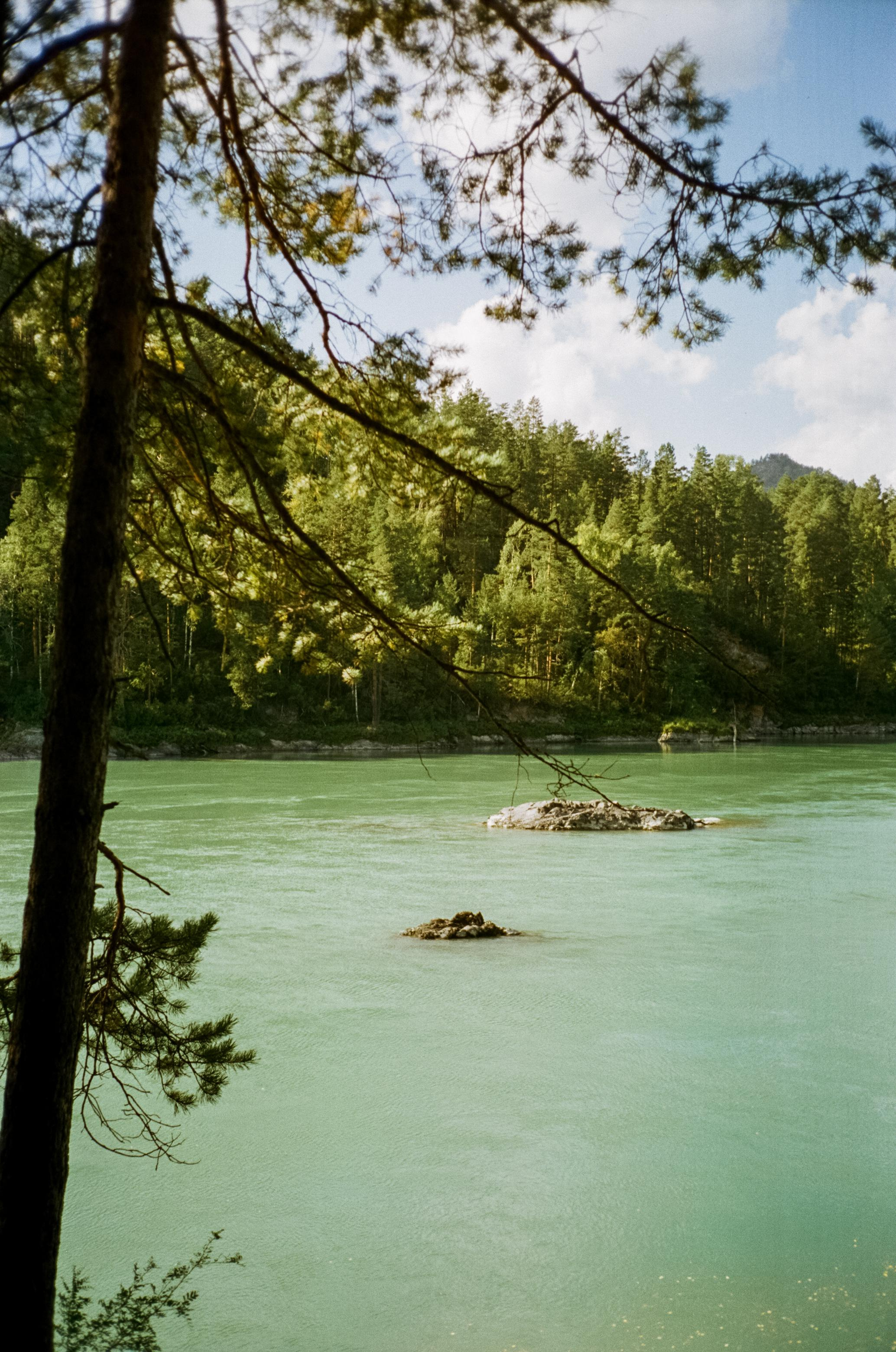База Altai Star: сосновый лес, теремки и берег Катуни. Фотограф-документалист Мария Осокина
