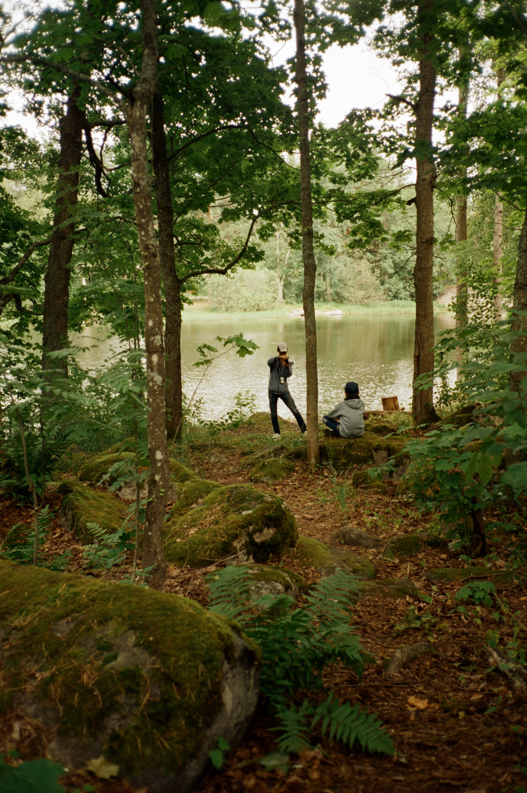 Остров Каменистый на реке Вуокса: экотропа в сосновом лесу, скалы и пл. Фотограф-документалист Мария Осокина