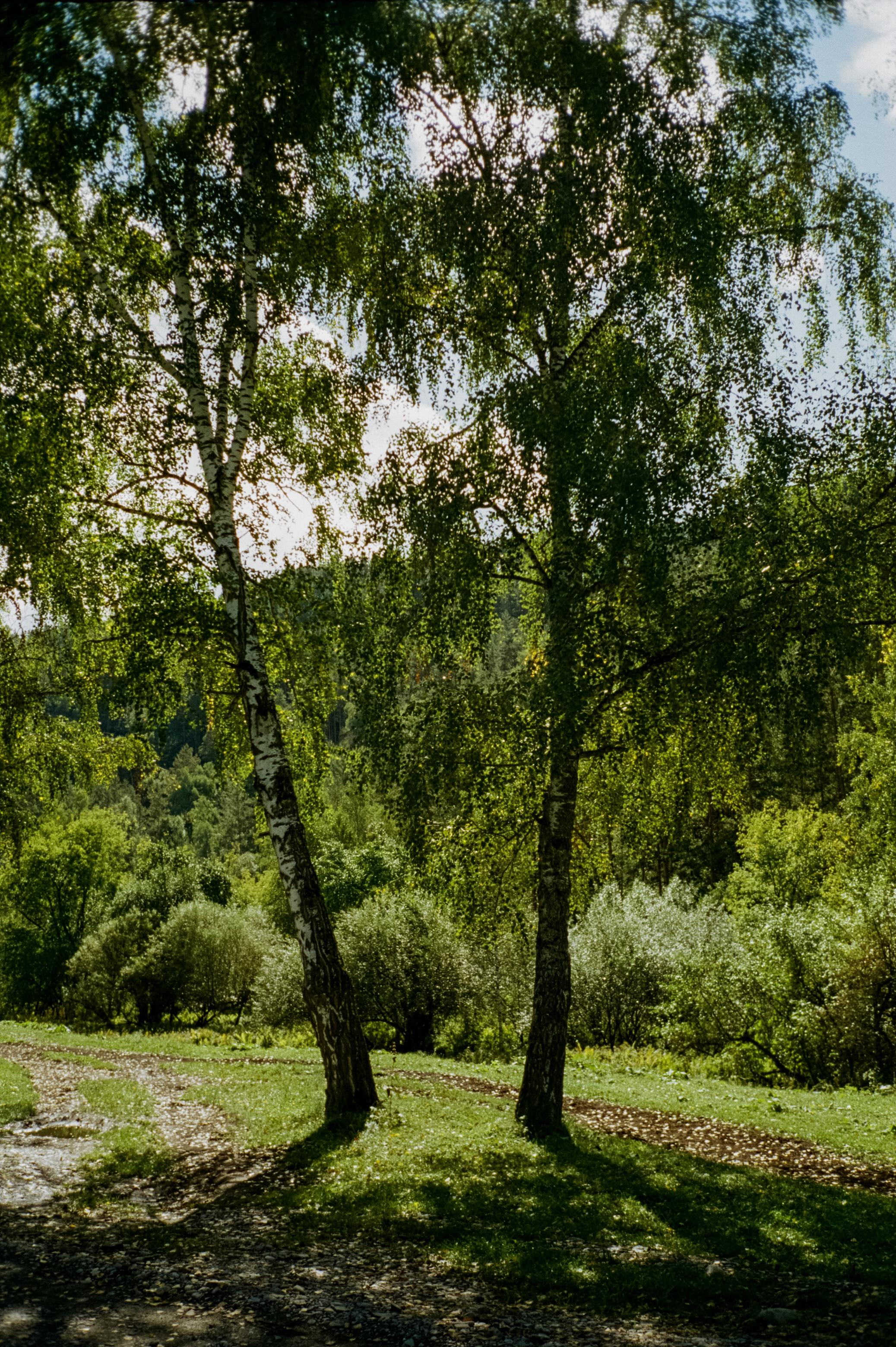 Дорога к селу Элекмонар и часовне на реке Куюм. Фотограф-документалист Мария Осокина