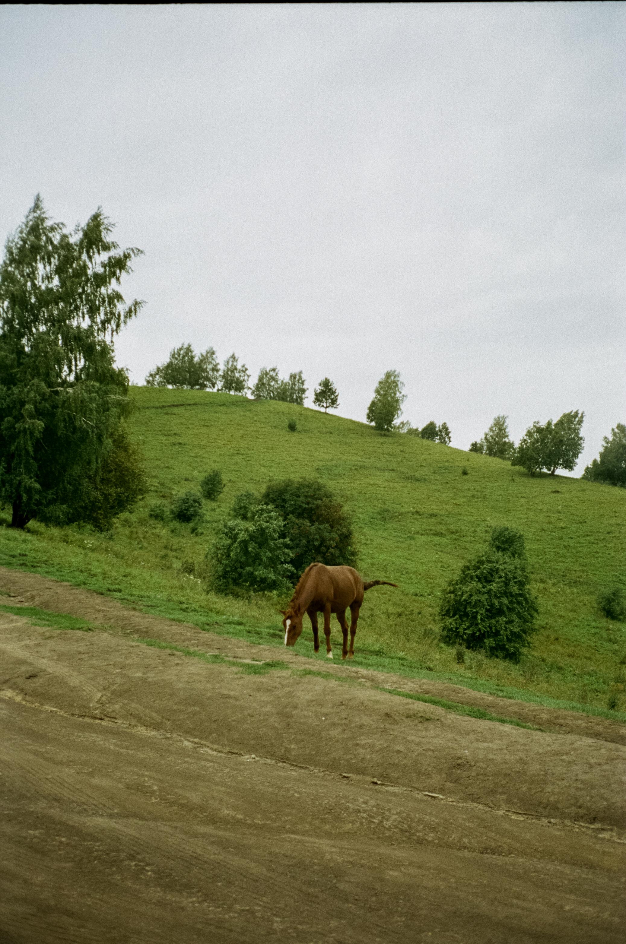 Гора Чертов Палец в селе Катунь. Фотограф-документалист Мария Осокина