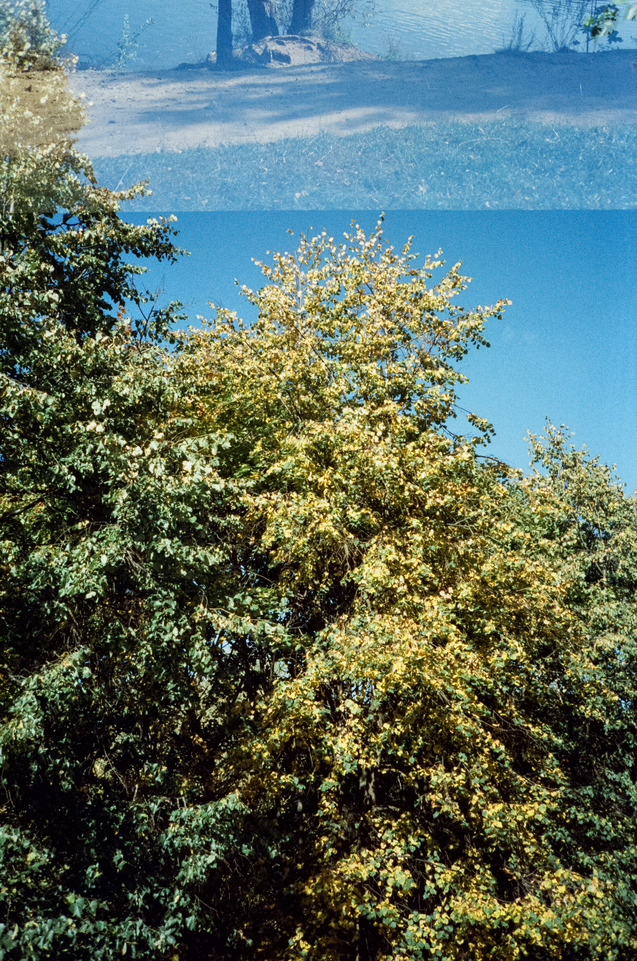 Строгинский залив. Золотая осень. Фотограф-документалист Мария Осокина