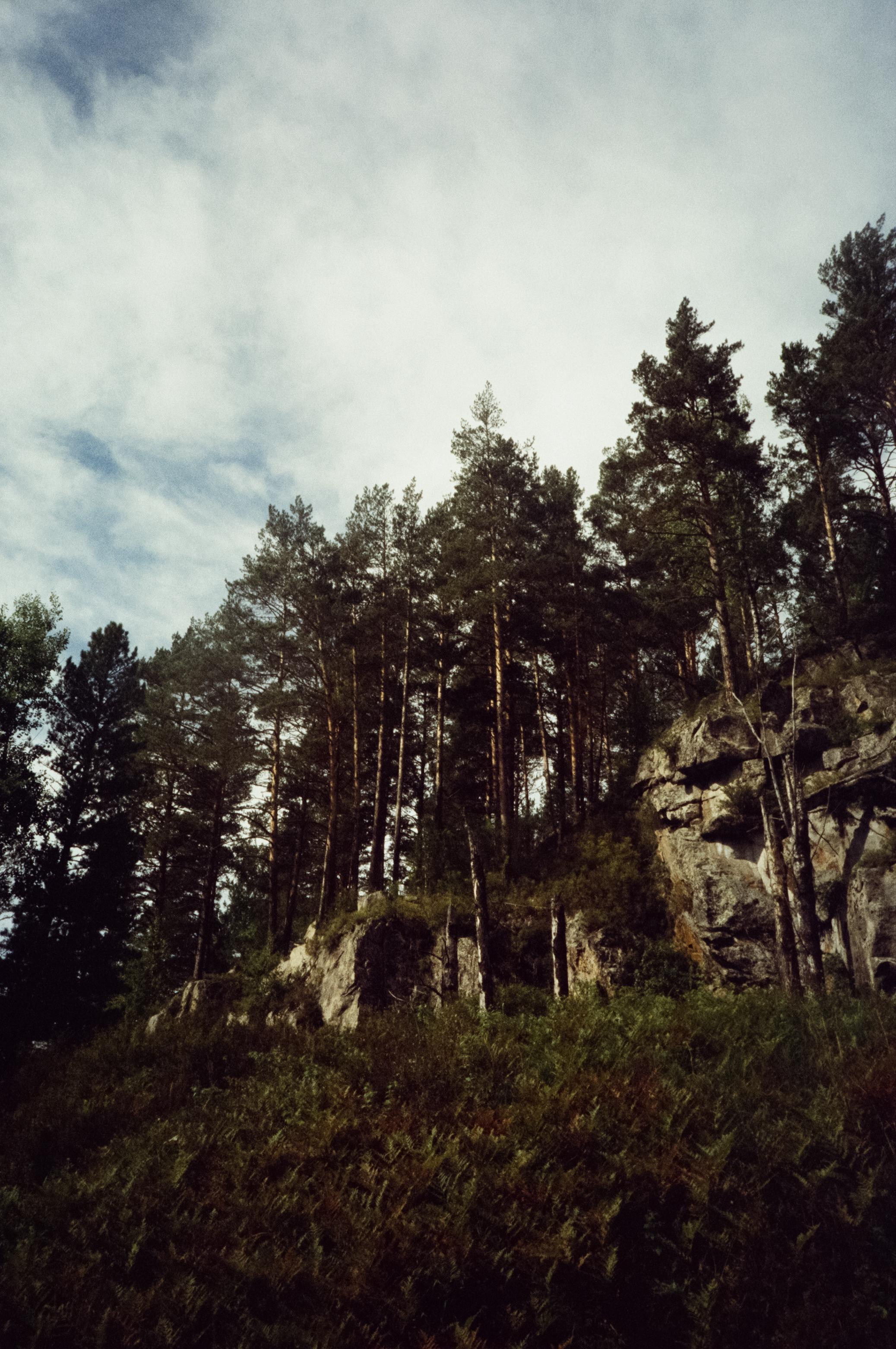Дорога вдоль горной реки Куюм и база Благодать. Фотограф-документалист Мария Осокина