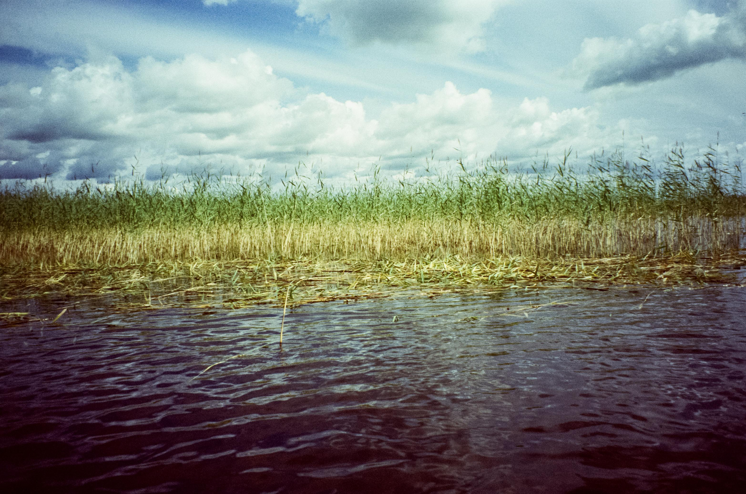 SUPboard на озере Отрадное. Фотограф-документалист Мария Осокина