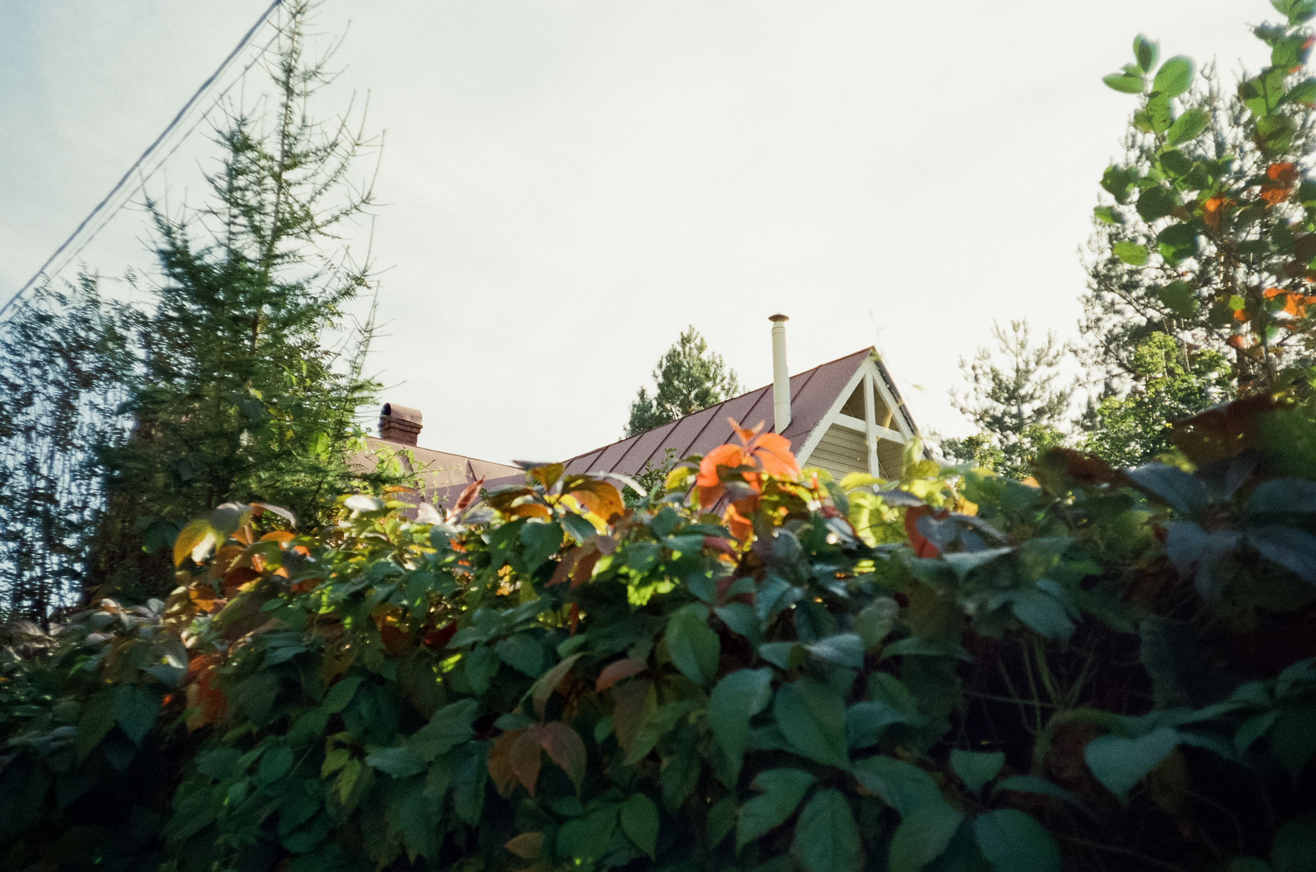 Наша дача и прогулка по садоводству. Золотая осень. Фотограф-документалист Мария Осокина