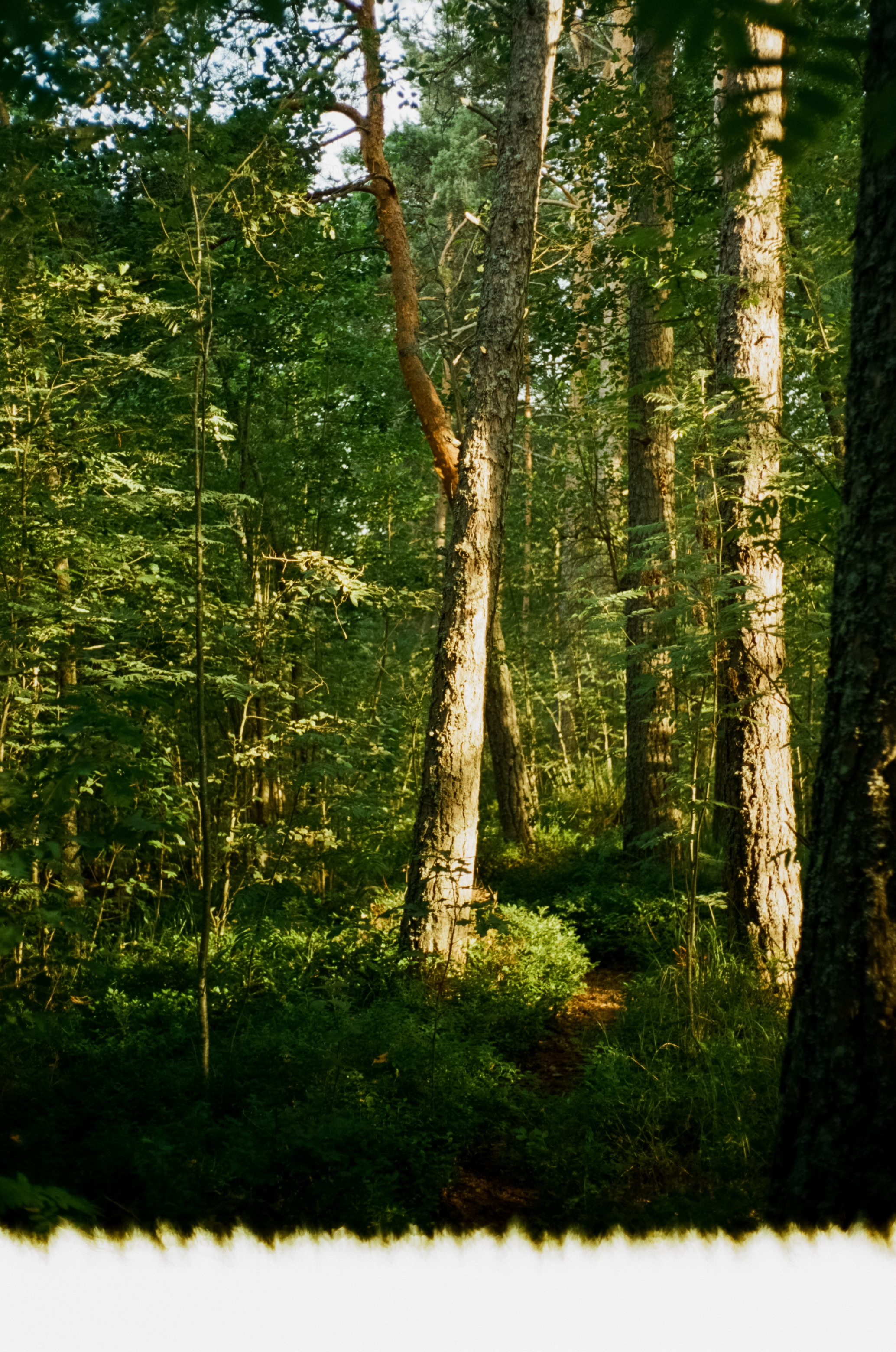 Вечер на озере Отрадное. Фотограф-документалист Мария Осокина
