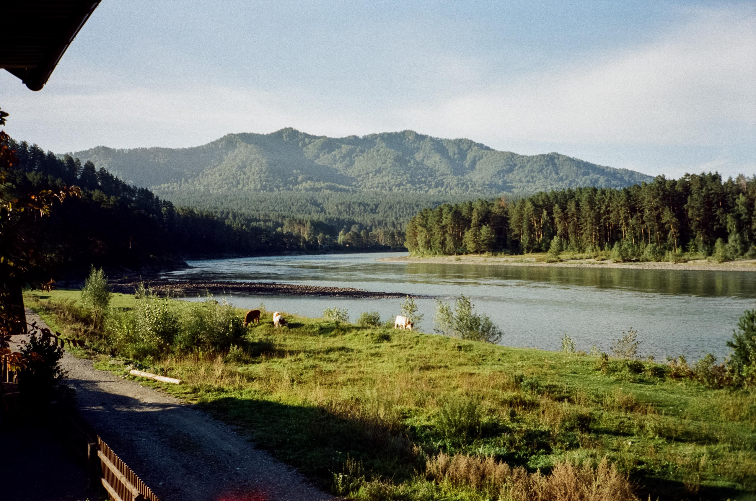 Бережок и Сила Алтая на Катуни. Зубы Дракона. Фотограф-документалист Мария Осокина