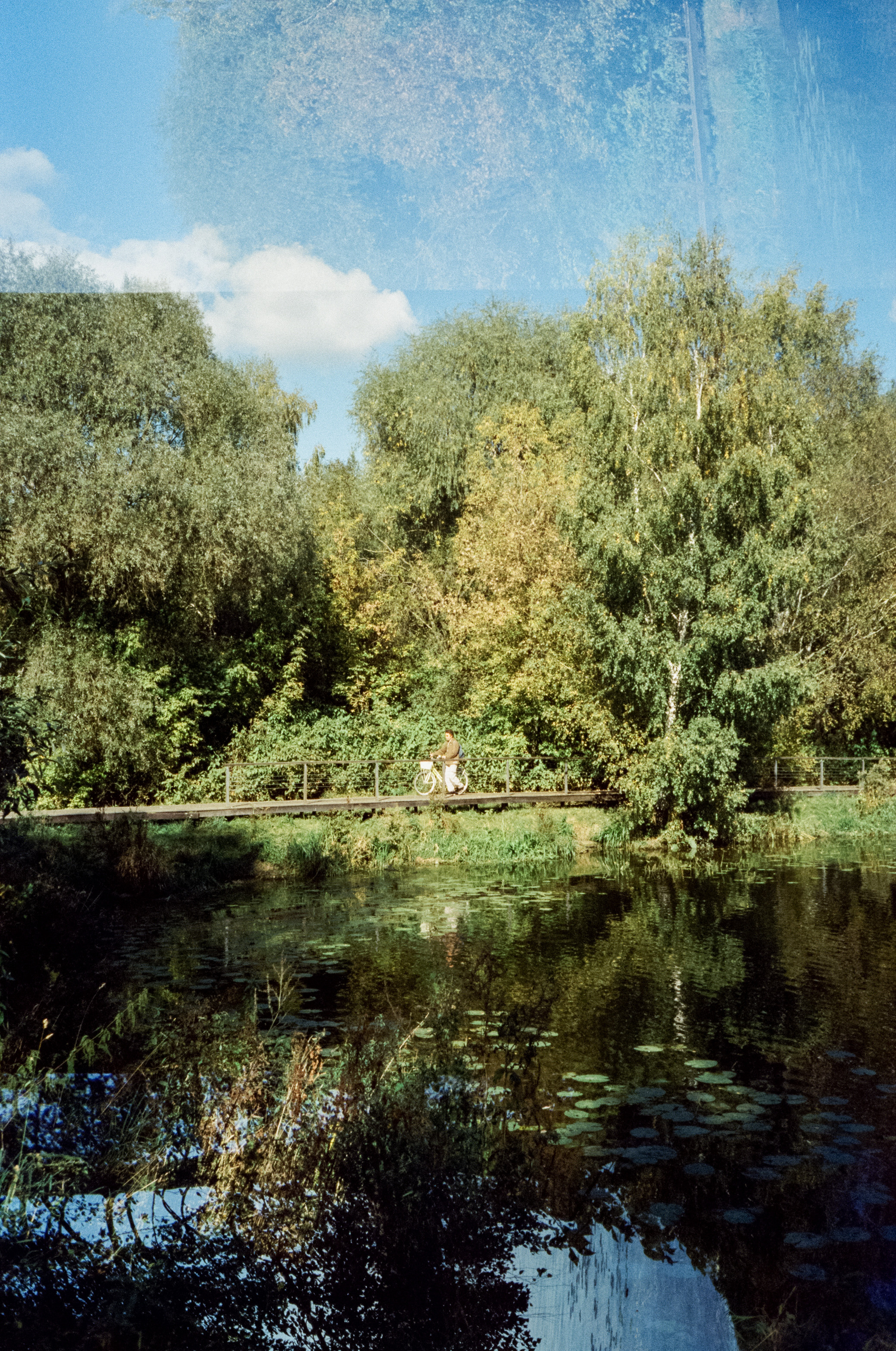 Строгинский залив. Золотая осень. Фотограф-документалист Мария Осокина