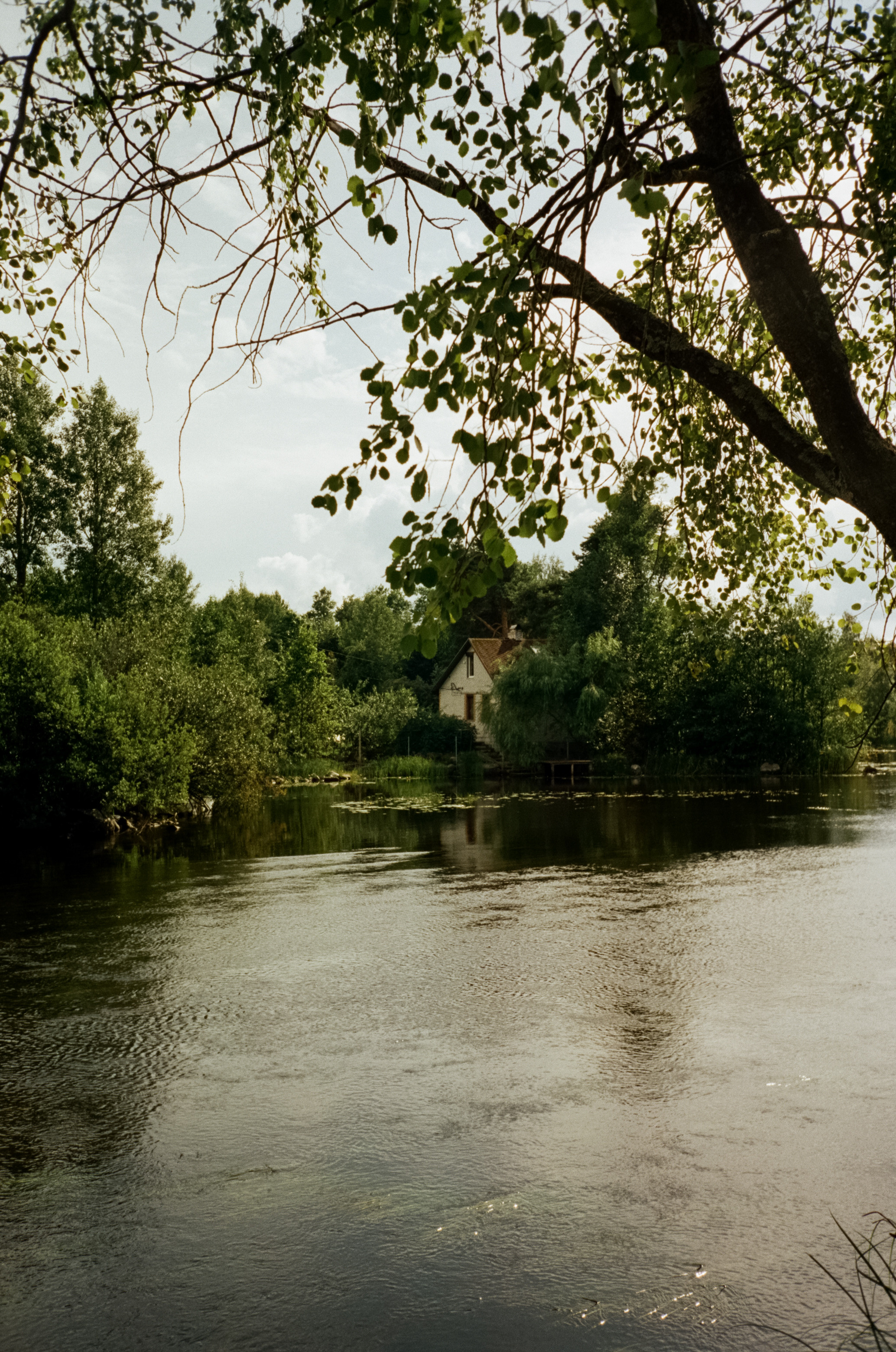 Остров Каменистый на реке Вуокса: экотропа в сосновом лесу, скалы и пл. Фотограф-документалист Мария Осокина