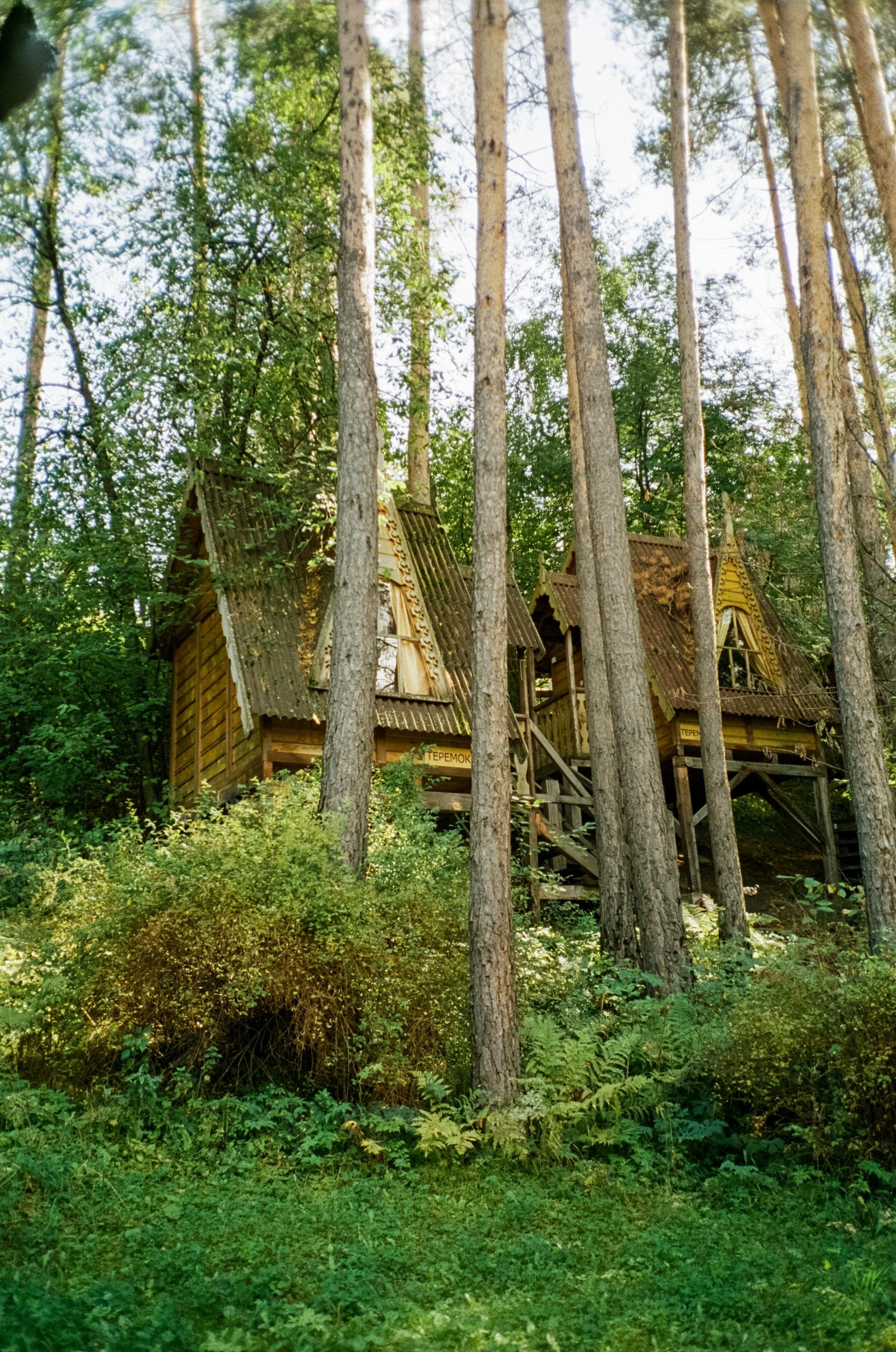 База Altai Star: сосновый лес, теремки и берег Катуни. Фотограф-документалист Мария Осокина