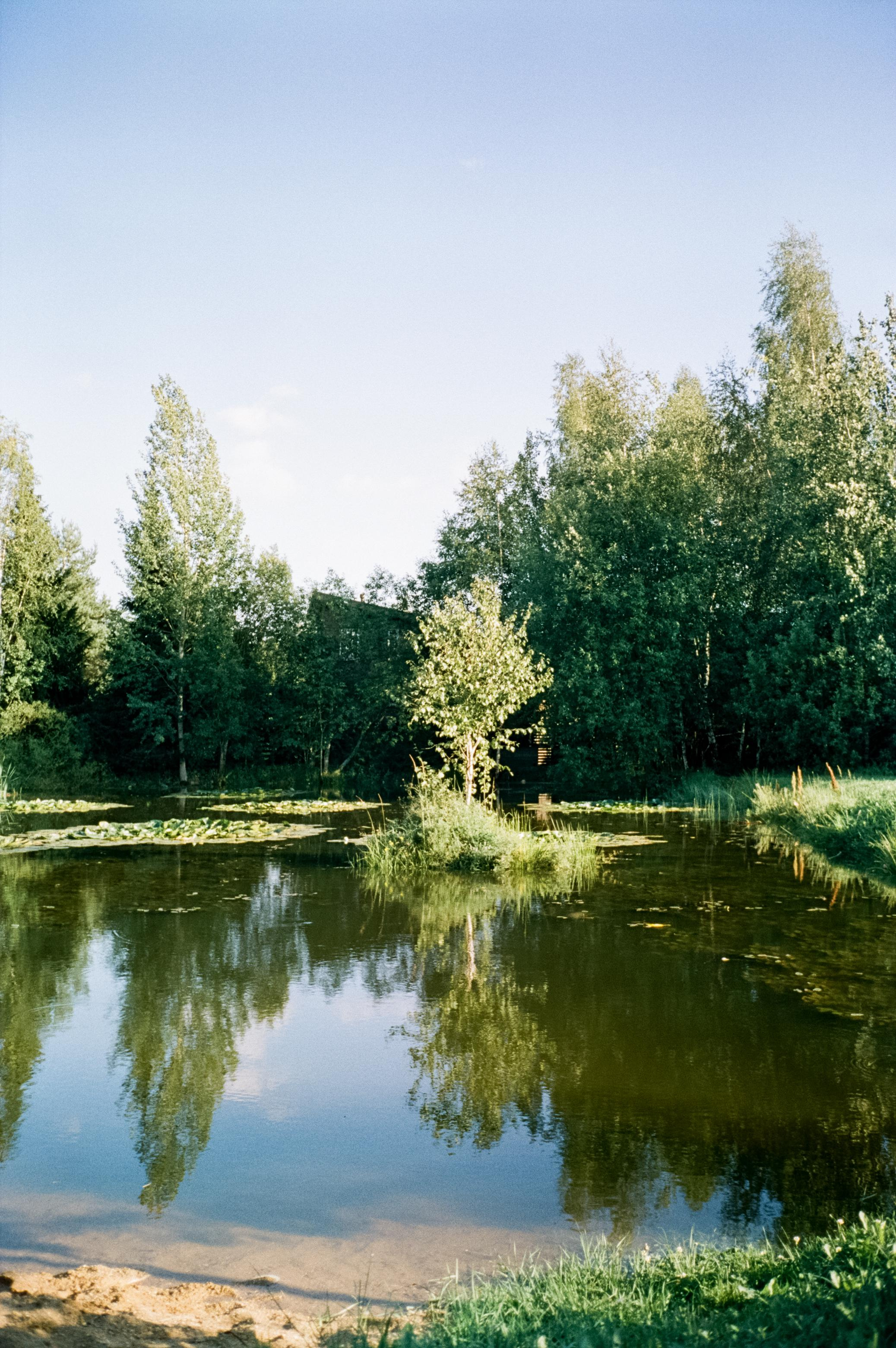 Дача. Лето. Август. Фотограф-документалист Мария Осокина