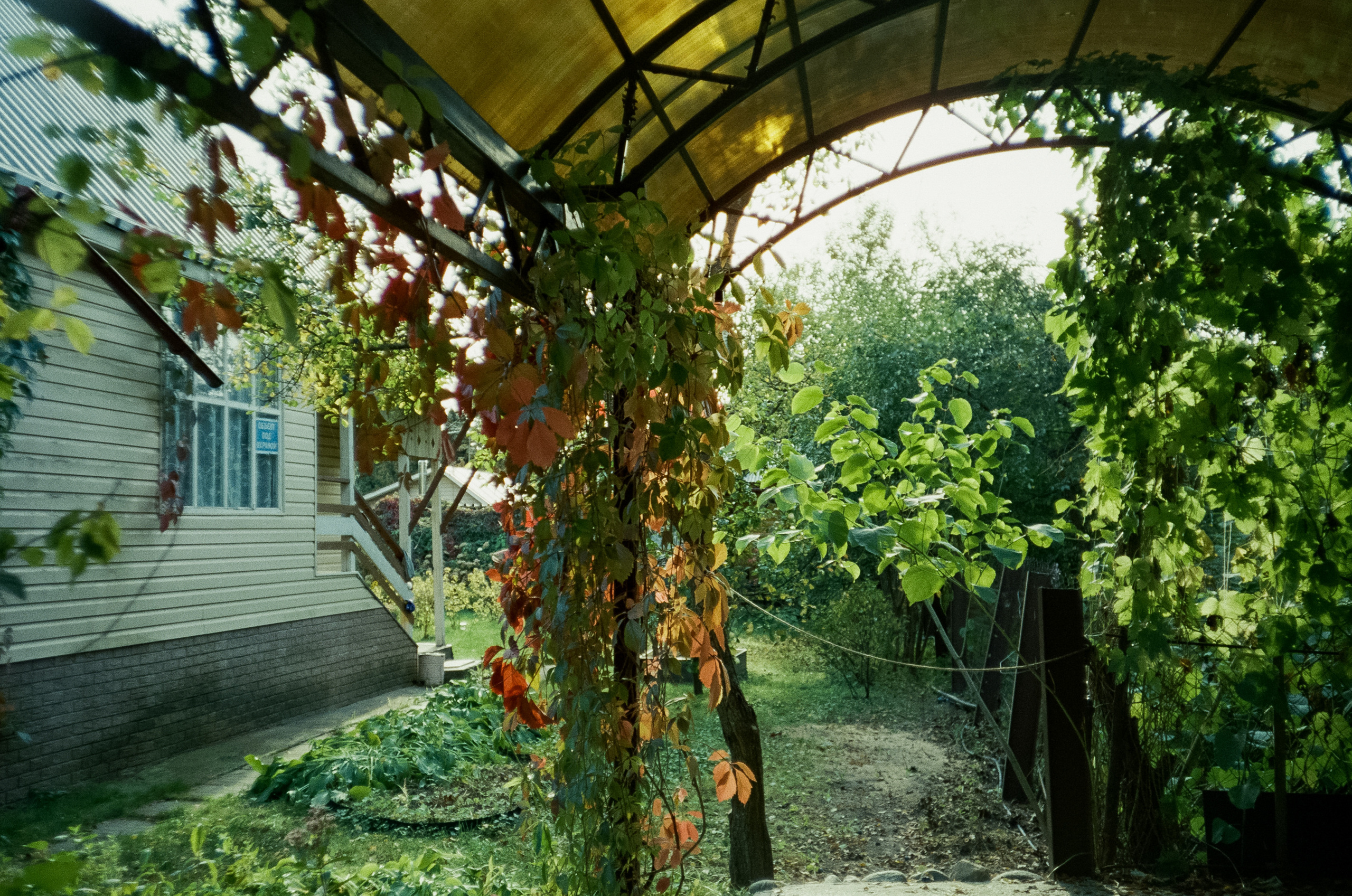 Наша дача и прогулка по садоводству. Золотая осень. Фотограф-документалист Мария Осокина
