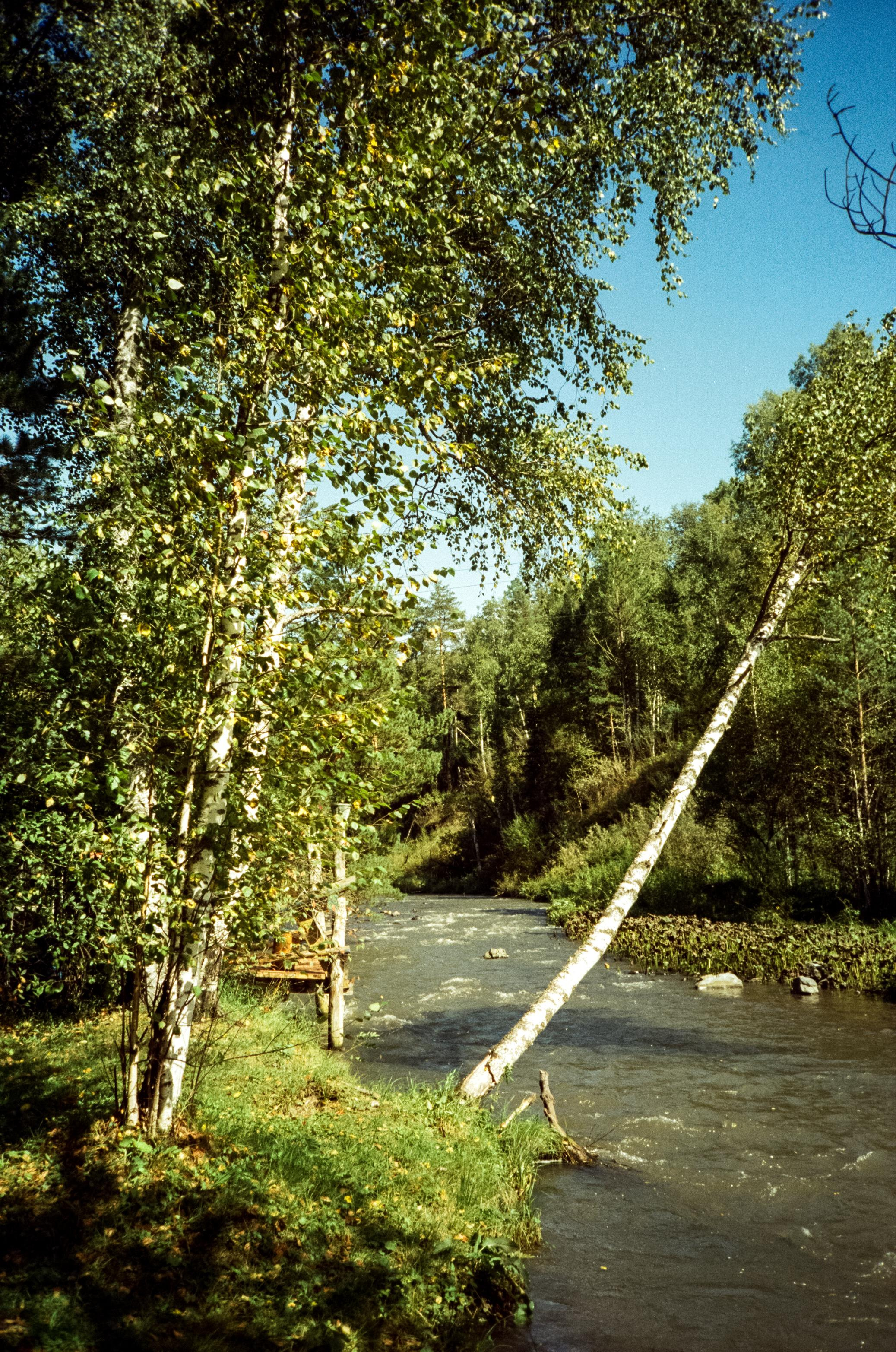 База Благодать на реке Куюм и Кедровый остров на Катуни. Фотограф-документалист Мария Осокина