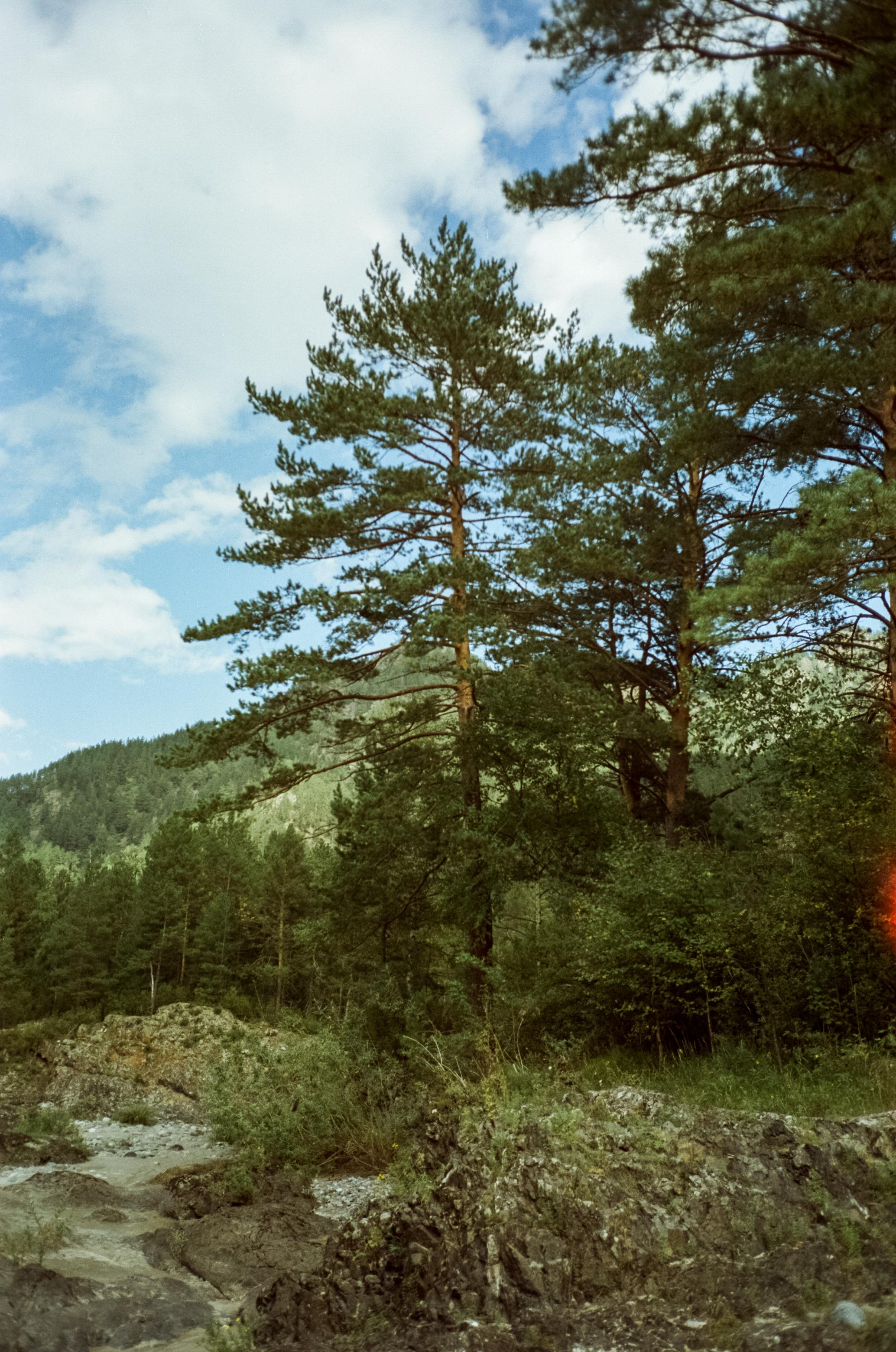 Катунские (семинские) ванные — голубые озера на Катуни. Фотограф-документалист Мария Осокина