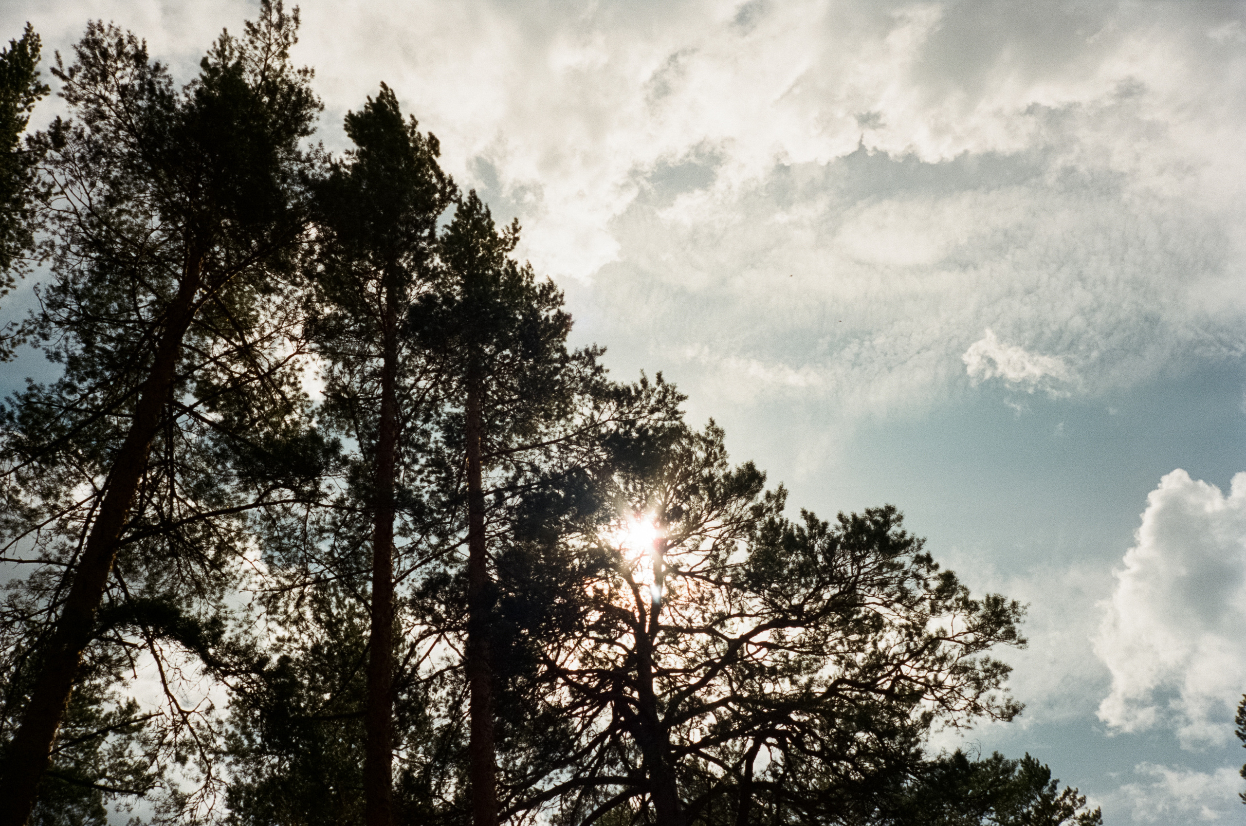 Остров Коневец. Конь-камень, берег Ладоги и Святая гора. Фотограф-документалист Мария Осокина