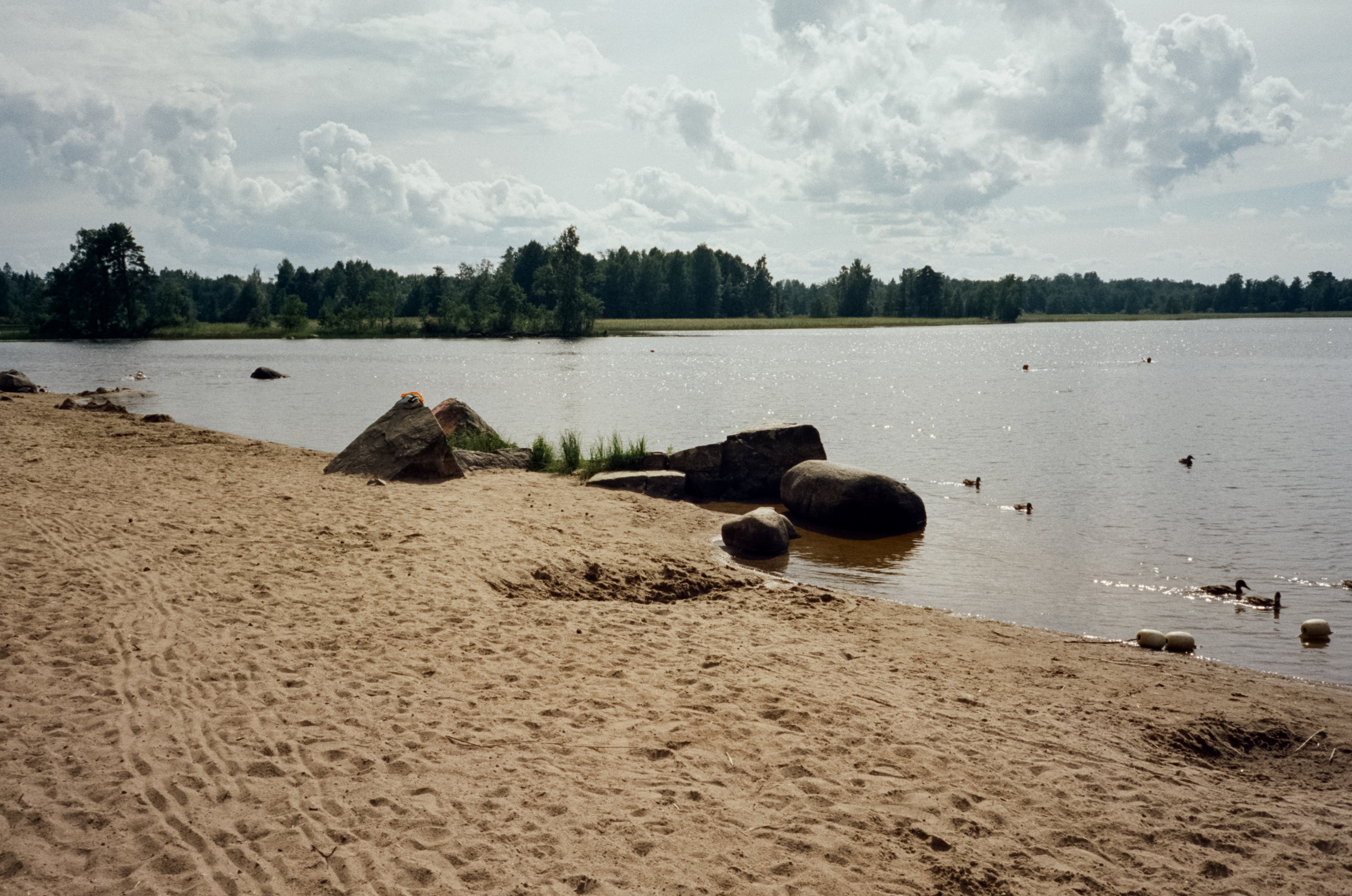 Остров Каменистый на реке Вуокса: экотропа в сосновом лесу, скалы и пл. Фотограф-документалист Мария Осокина