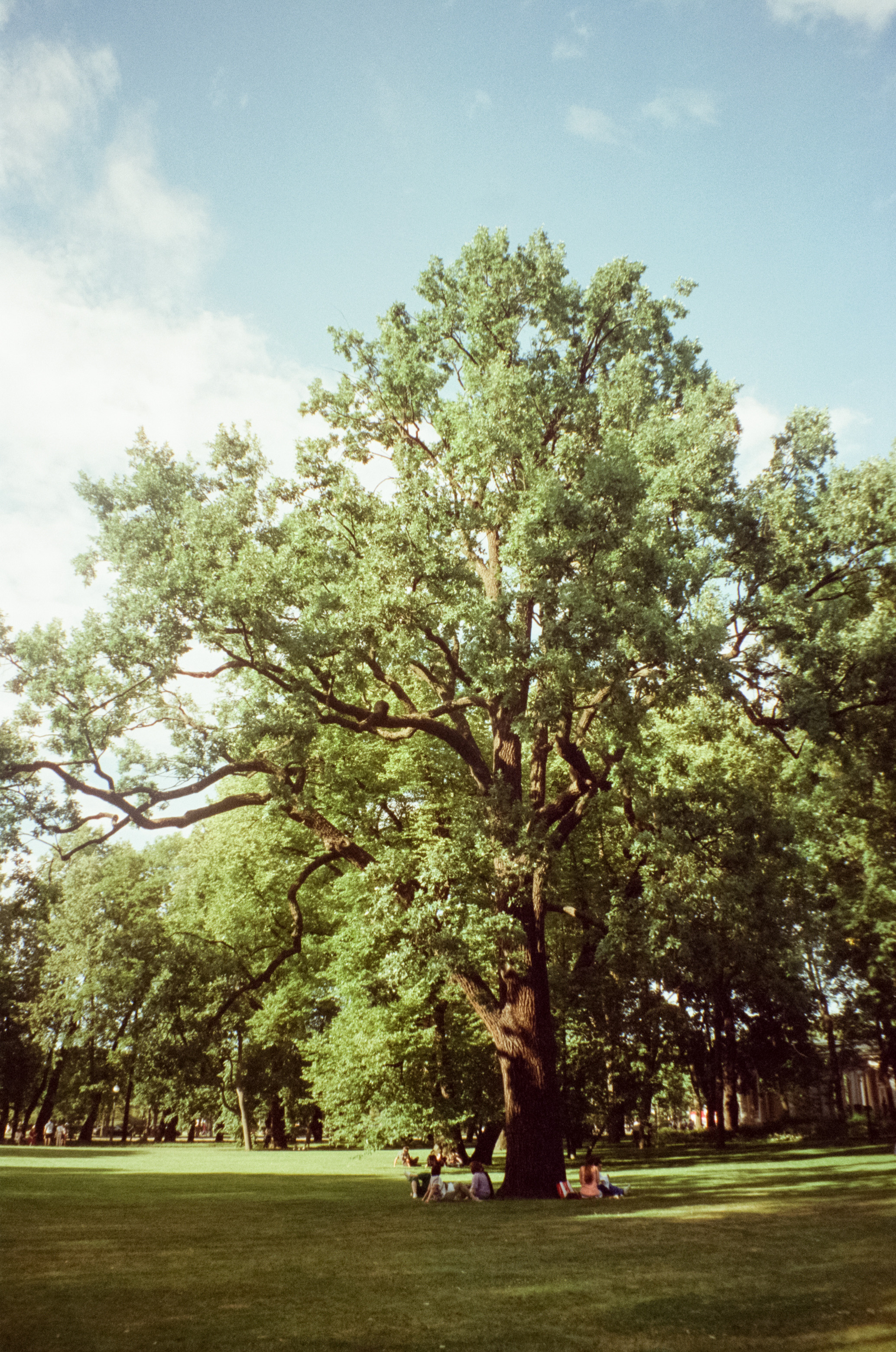 Прогулка по Питеру в солнечный день. Фотограф-документалист Мария Осокина
